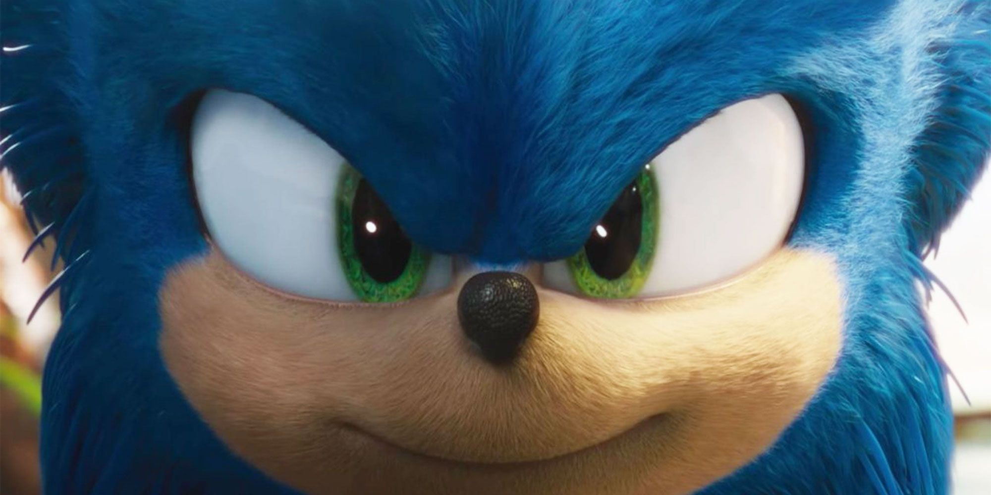 Zonic the Hedgehog