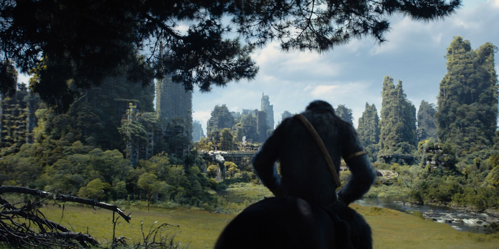 Kingdom of the Planet of the Apes