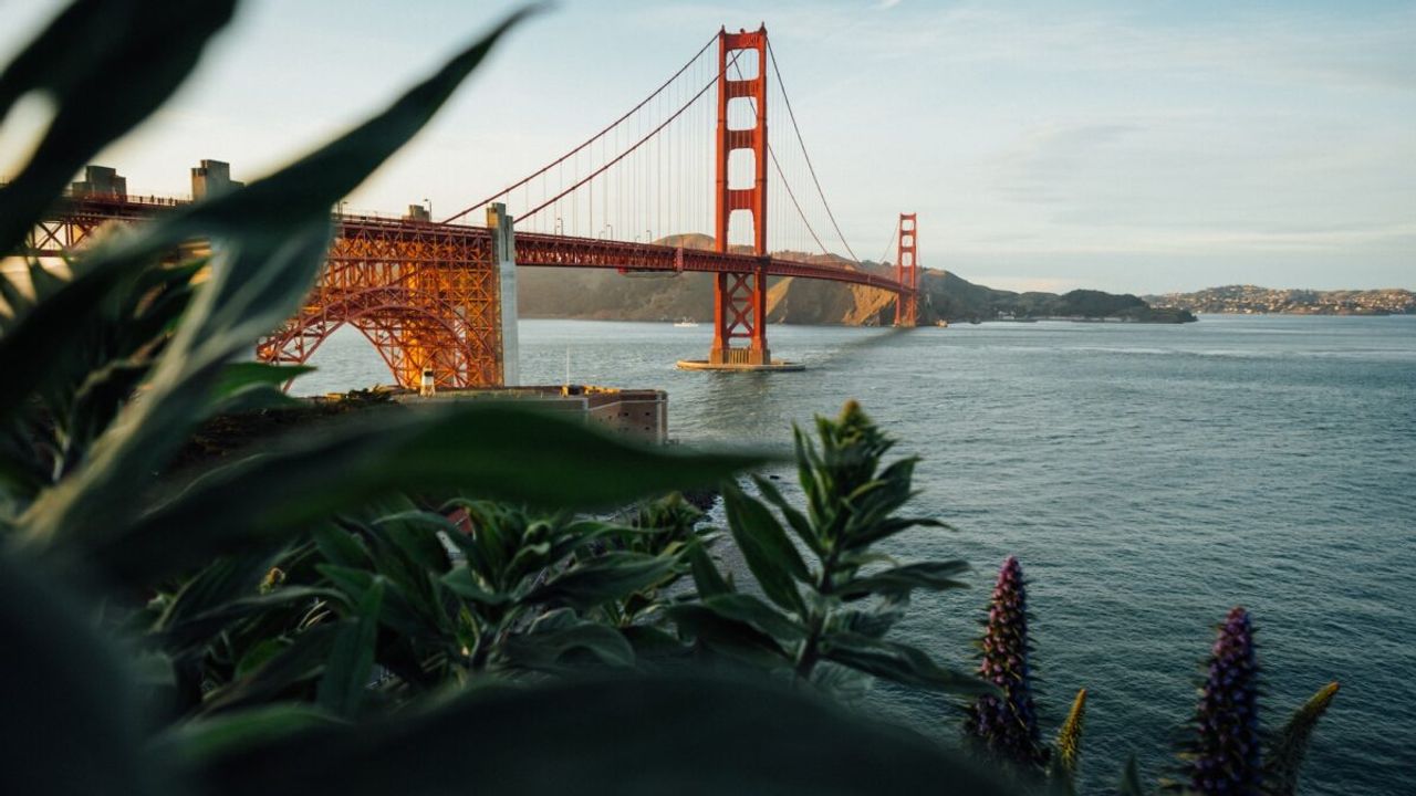 We're Expanding Throughout California!