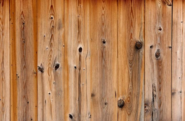 Wood's Beautiful Imperfections