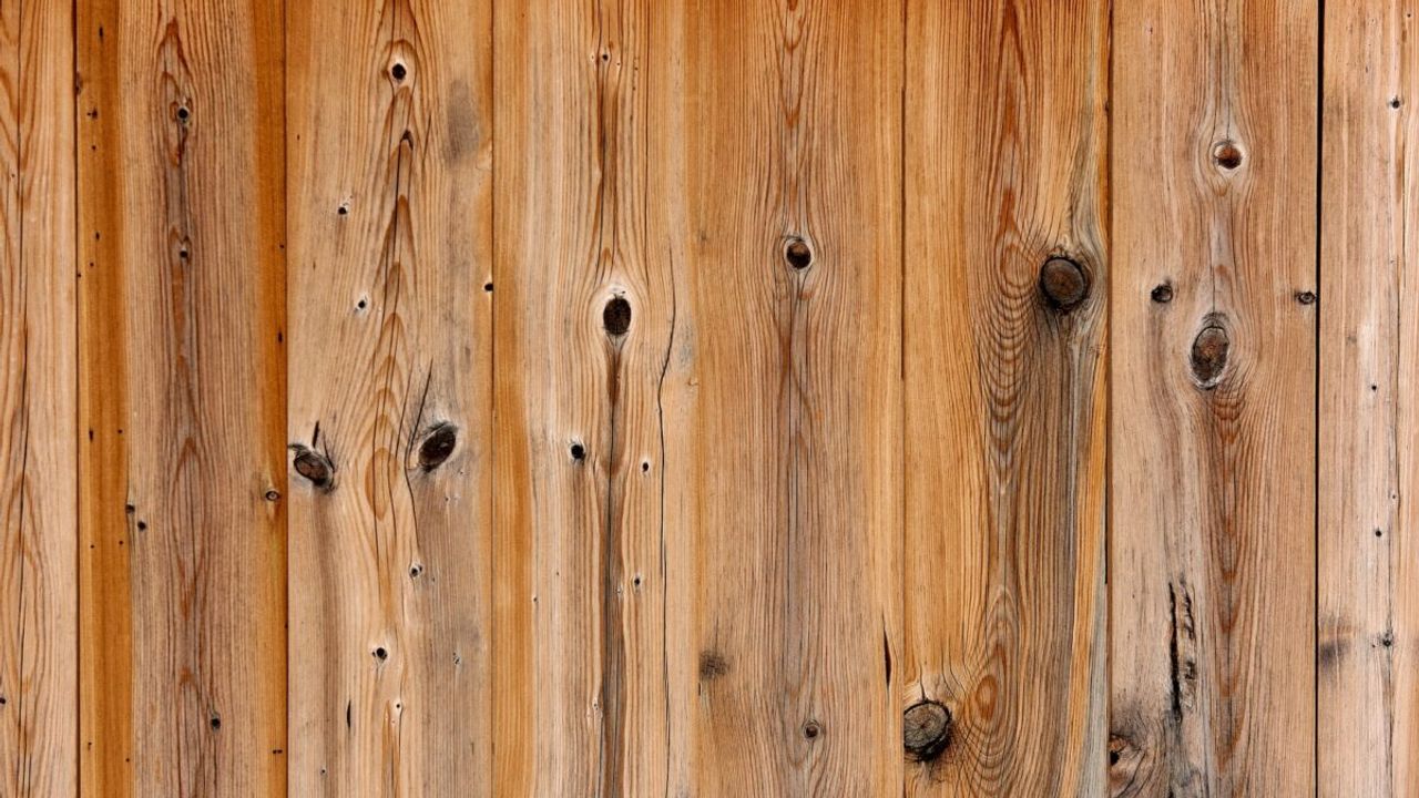 Wood's Beautiful Imperfections