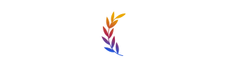 Paperpal logo