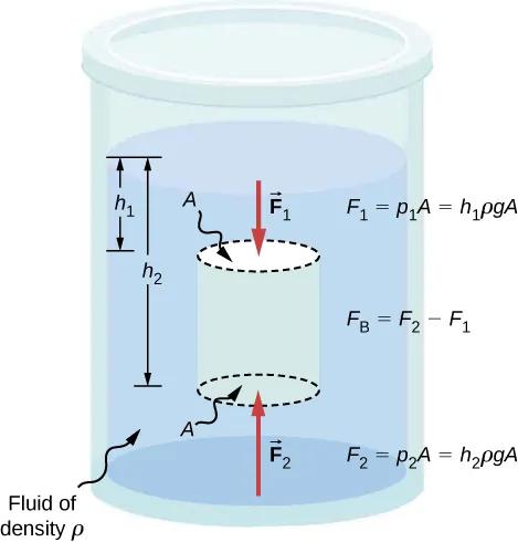 OpenStax Figure 14.20: a submerged cylinder with equal end areas A; top at depth h1 has downward force F1, bottom at depth h2 has upward force F2.