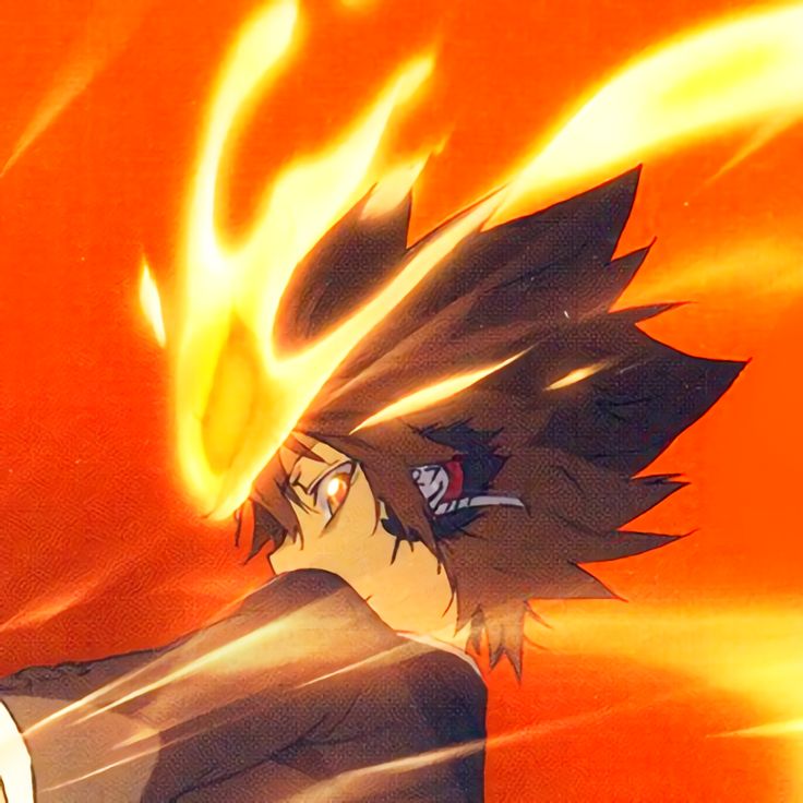 Sawada, Tsunayoshi