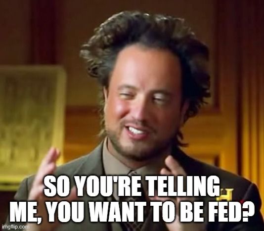 Meme 'So you're telling me, you want to be fed?
