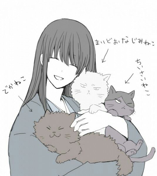 Katsura, Kotarou