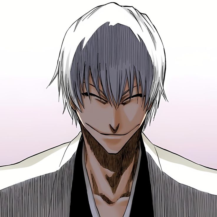 Ichimaru, Gin