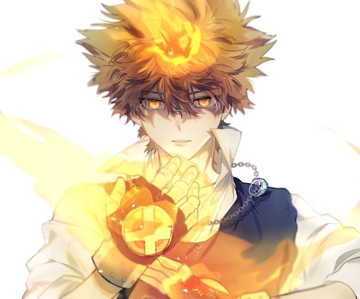 Sawada, Tsunayoshi