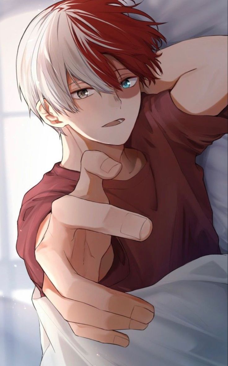 Todoroki, Shouto