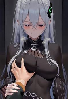 Echidna
