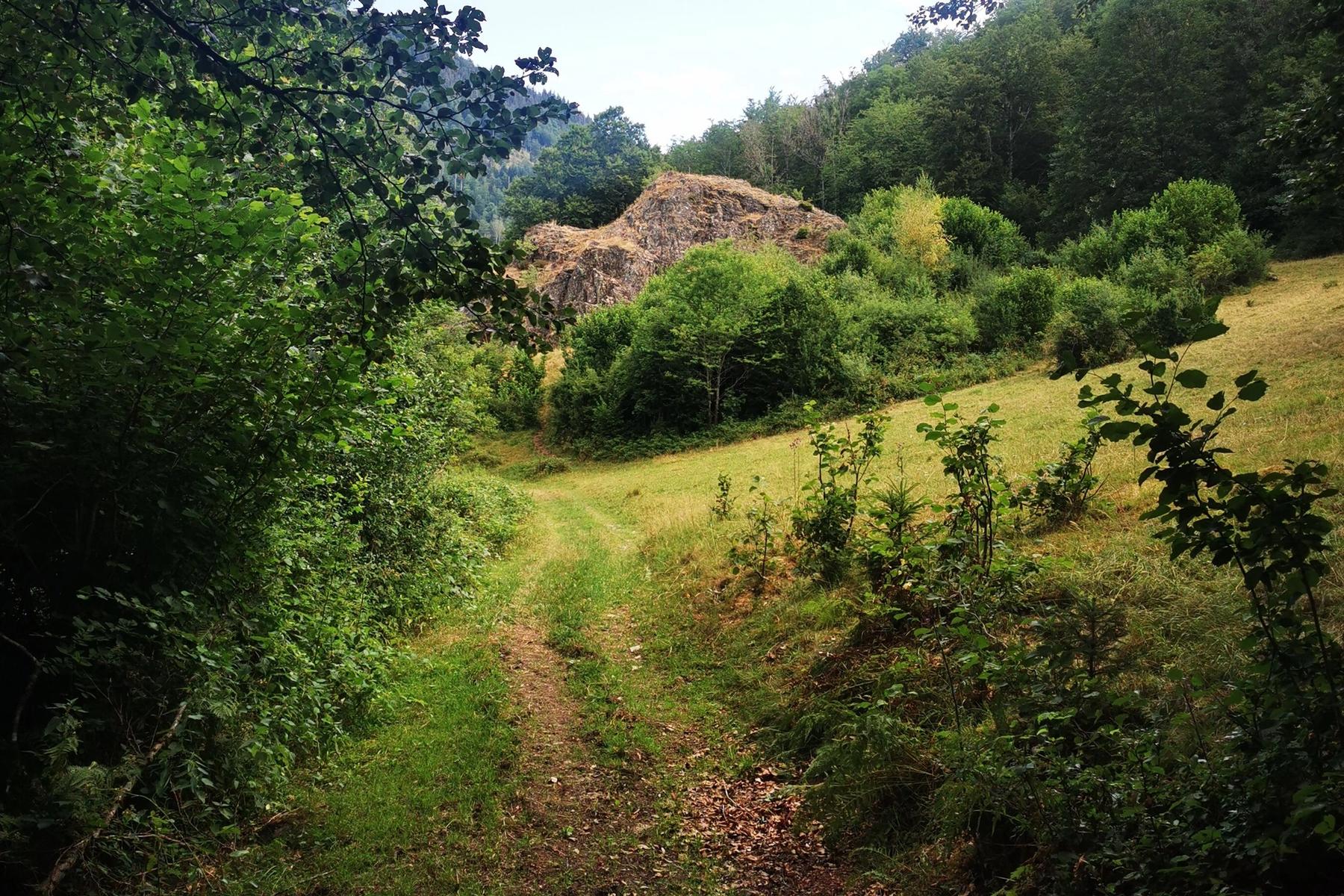ChampaDevi