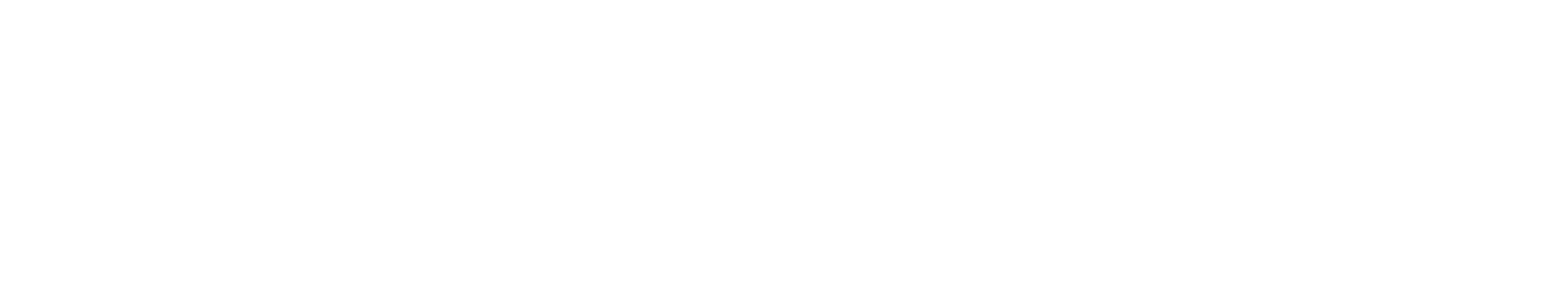 DASHING PHEV Logo