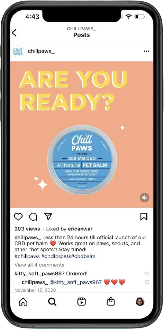 Chill Paws Instagram post concept