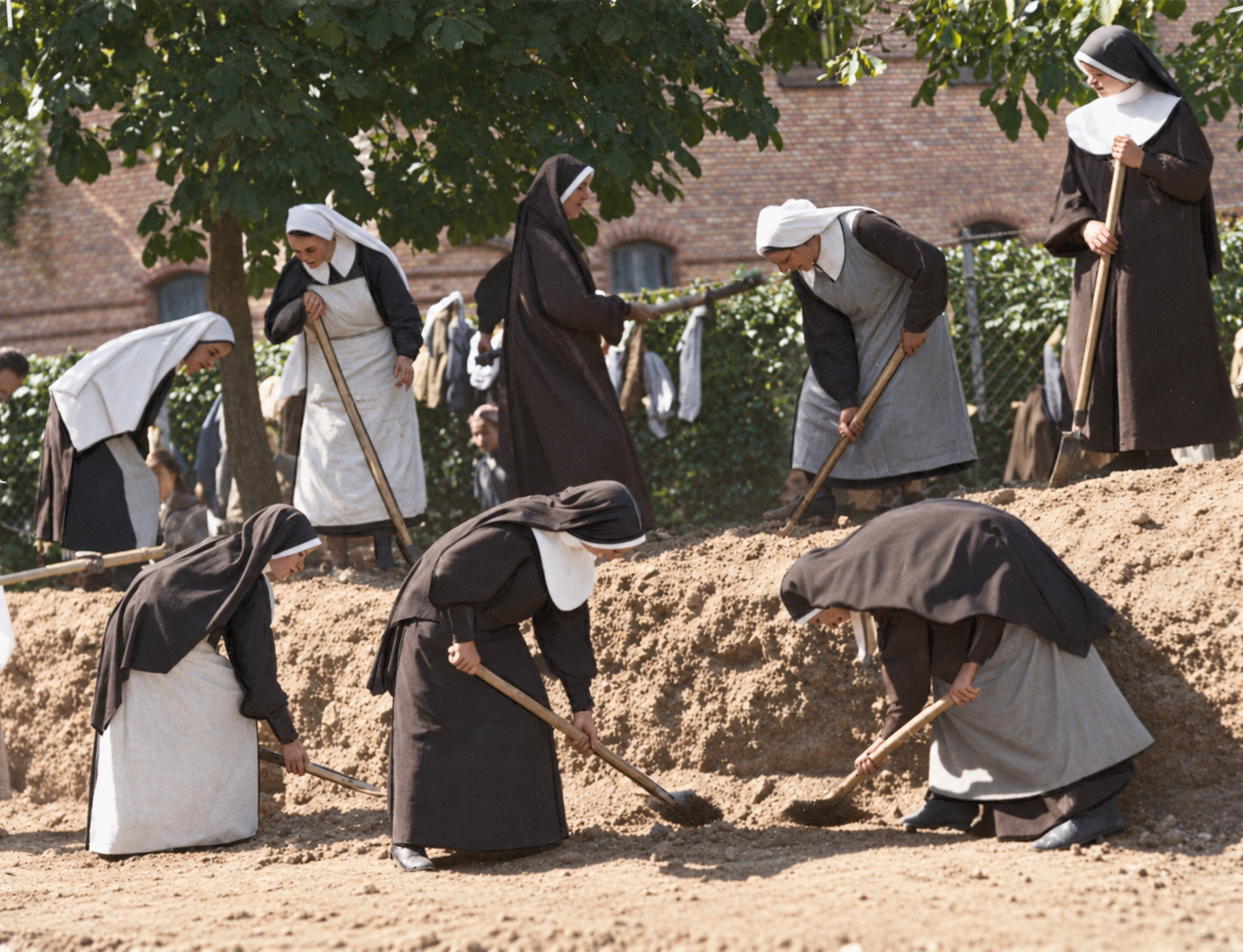 Nine Franciscan sisters in dark habits and white wimples digging a trench in loose earth with spades and hoes, in front of a brick building and a chestnut tree.