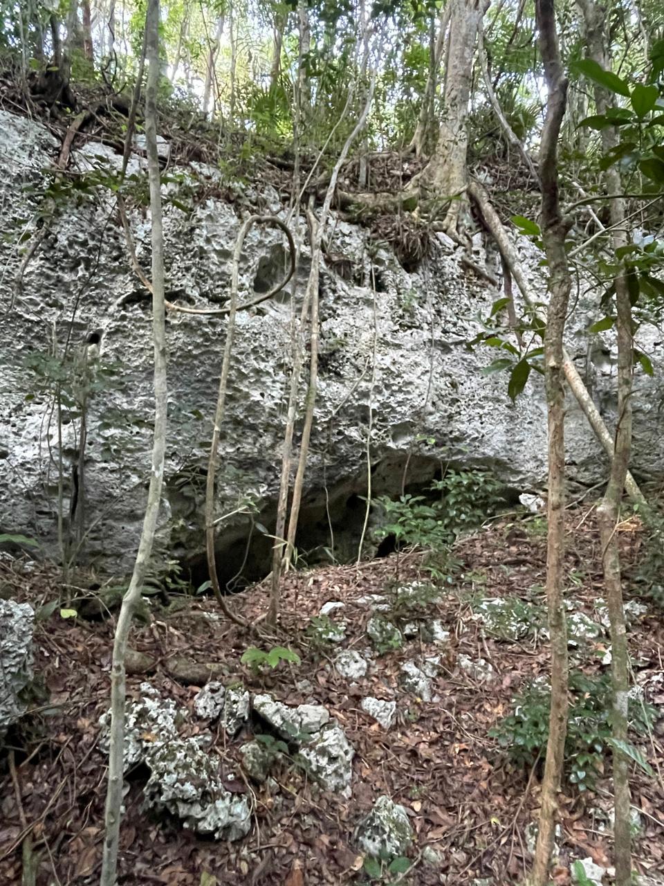 Tulum’s Hidden Gem: Expansive Eco-Investment with 4 Wooden Homes — photo 11