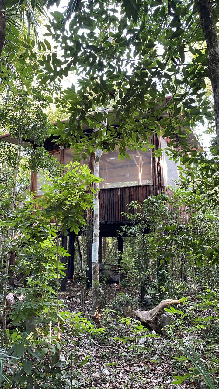Tulum’s Hidden Gem: Expansive Eco-Investment with 4 Wooden Homes — photo 4