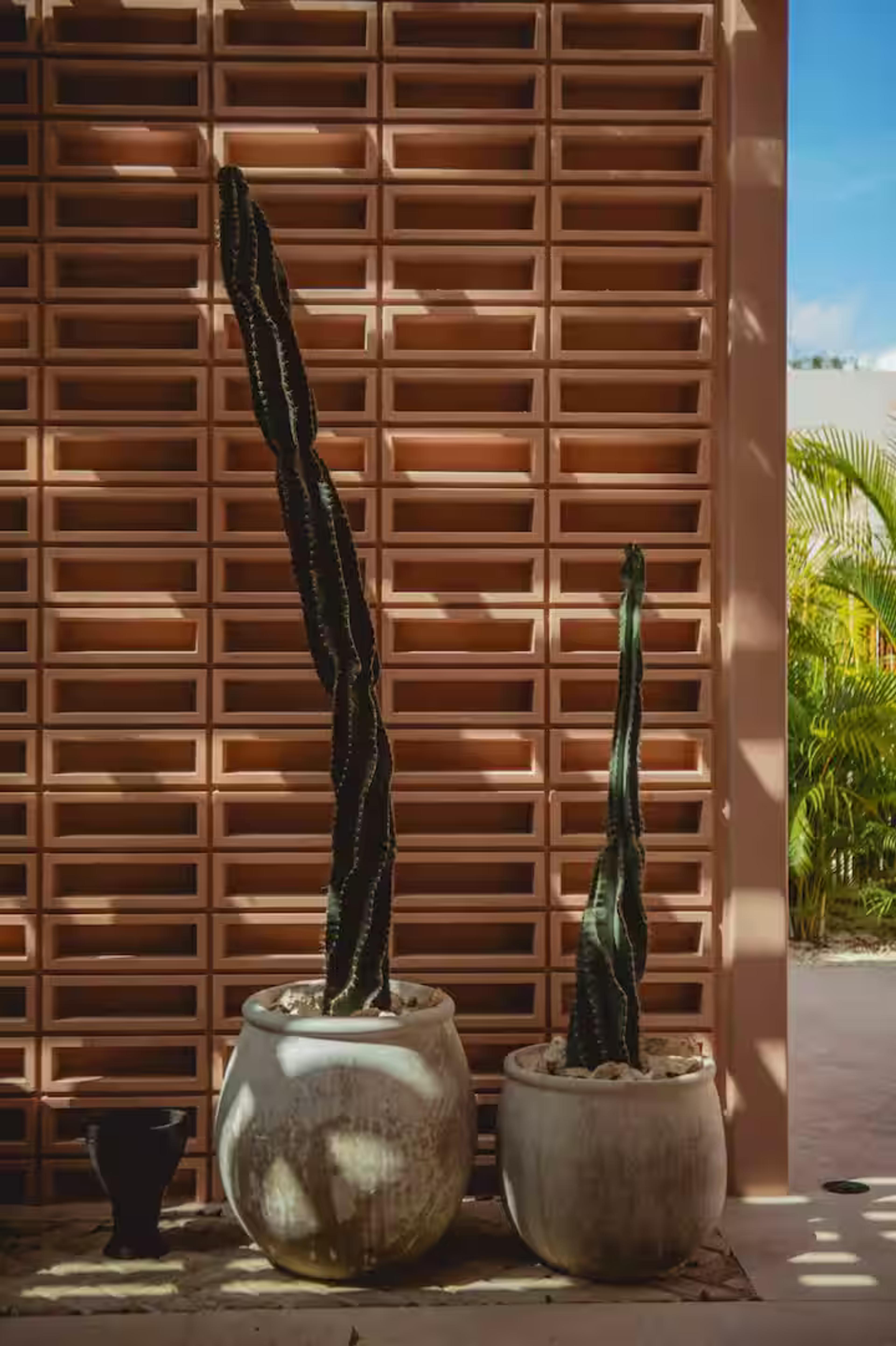 Aflora | One Bed Retreat in The Most Successful Complex in Tulum — photo 9