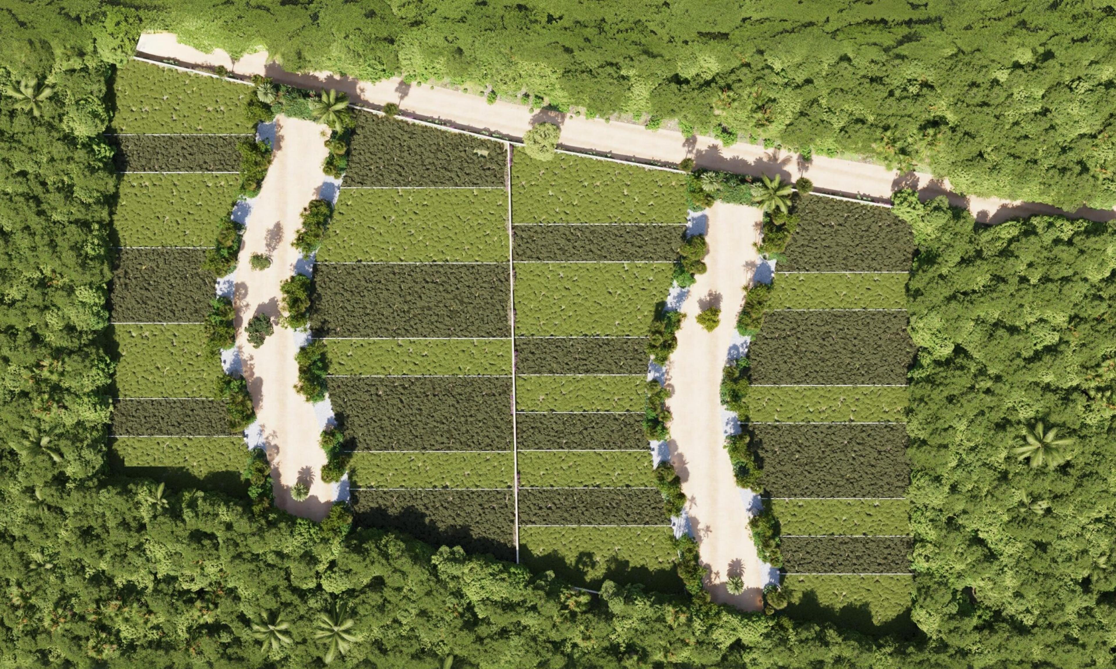 Premium Residential Lots 1km from the Beach — photo 13