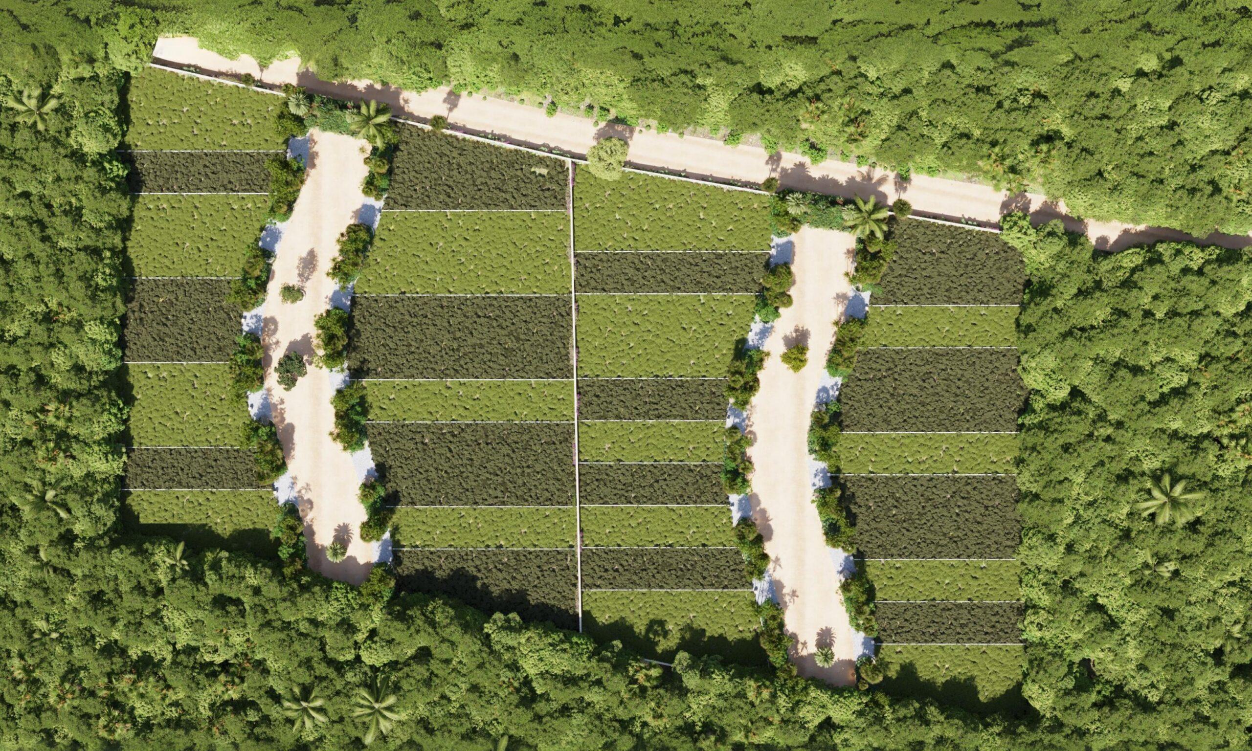 Premium Residential Lots 1km from the Beach — photo 13