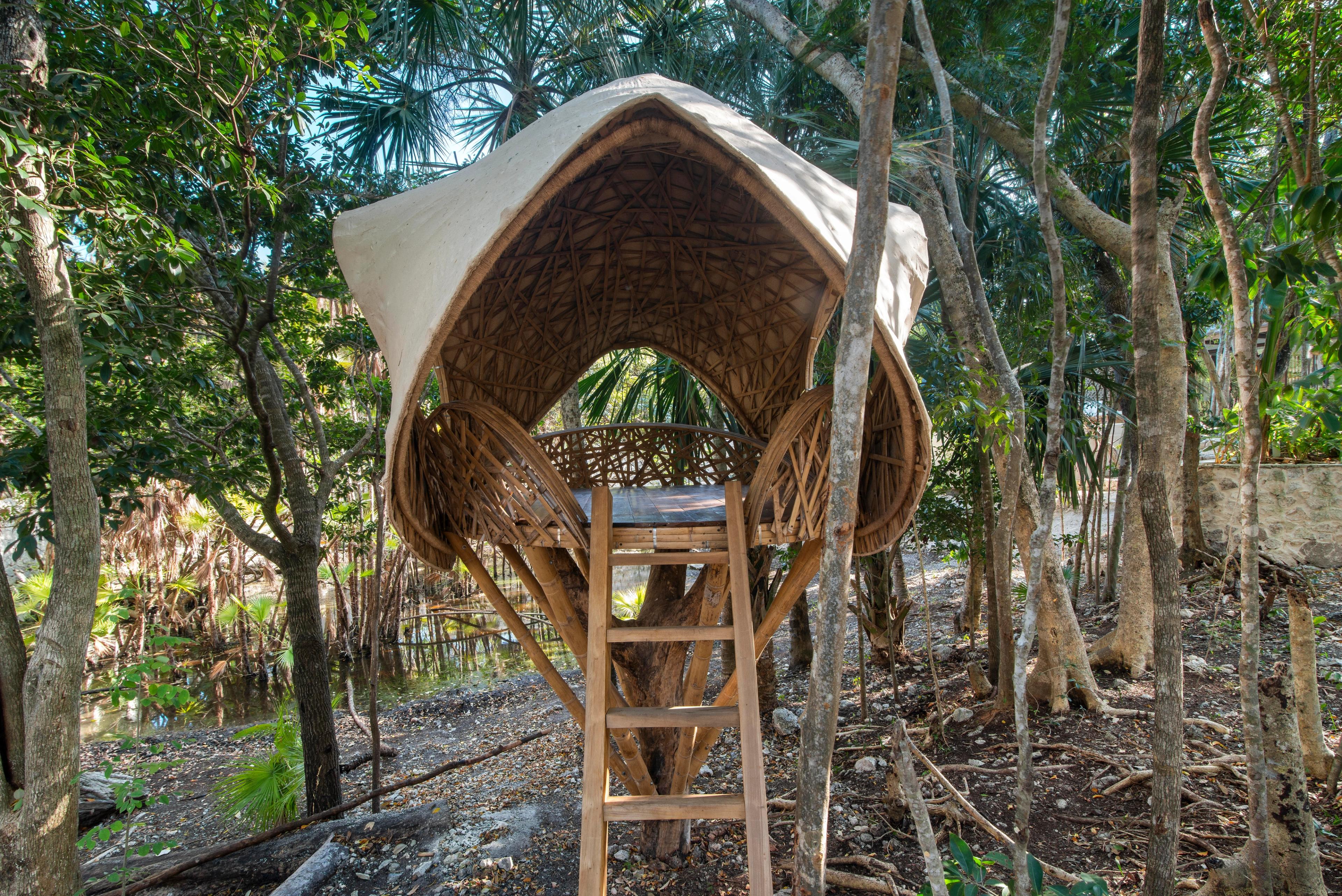 Casa Tropical — photo 22