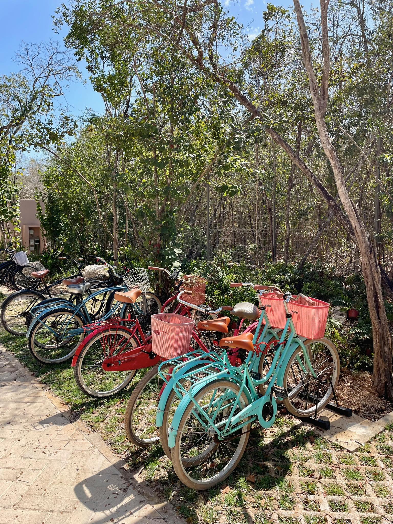 Aflora | Turn-Key Luxury Studio – Prime Investment in Tulum — photo 24