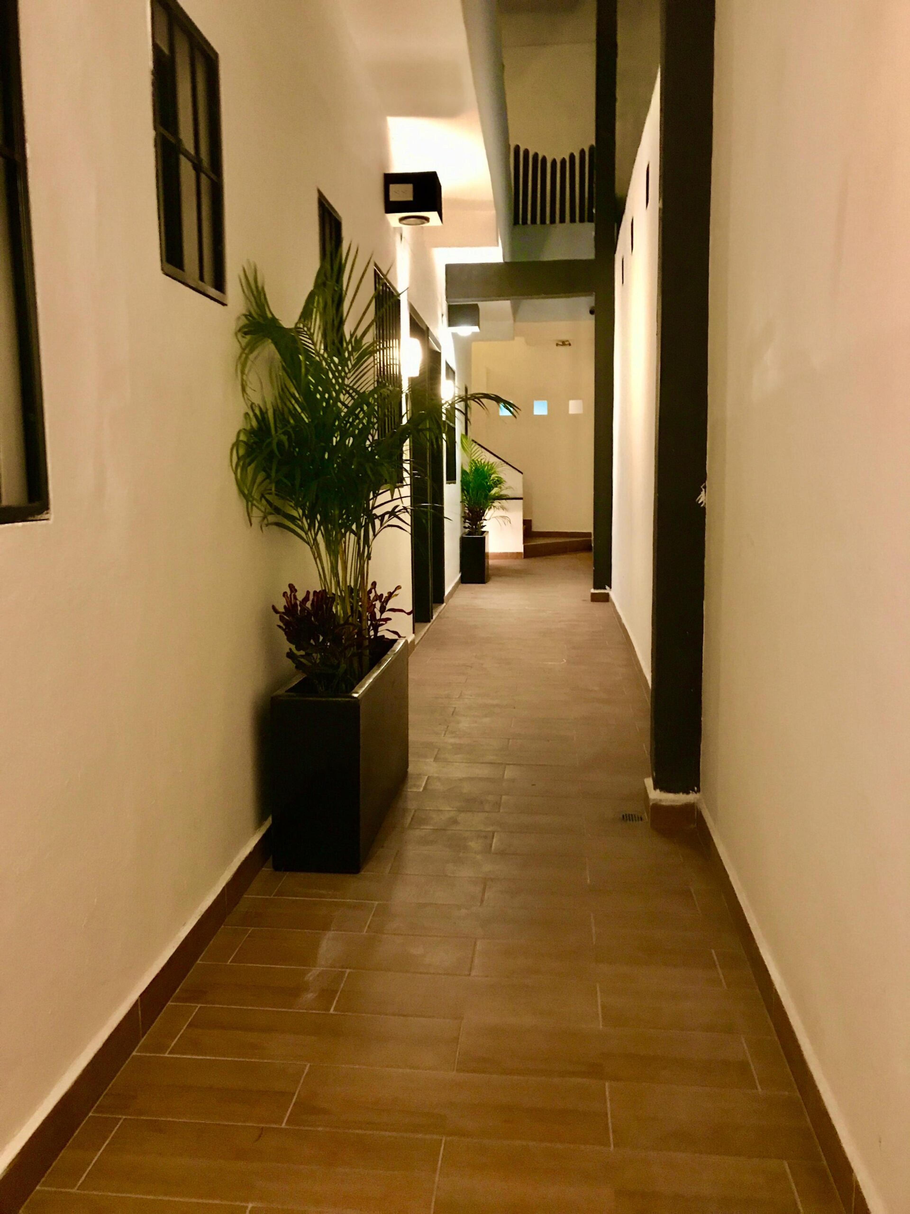 Multifamily Building with Commercial Space in Colosio — photo 4
