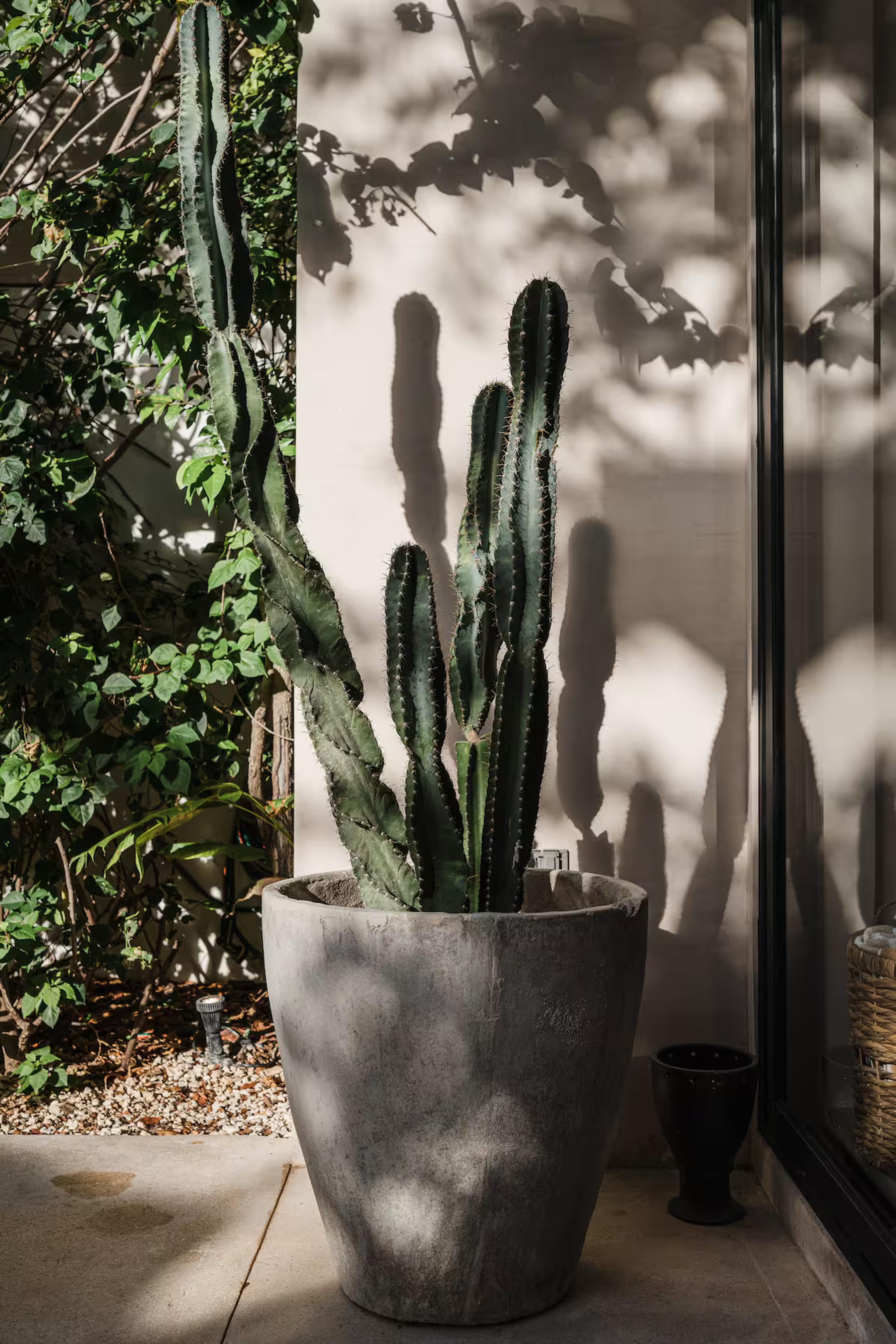 Villa Sorella | Bohemian 4 Bedroom — photo 15
