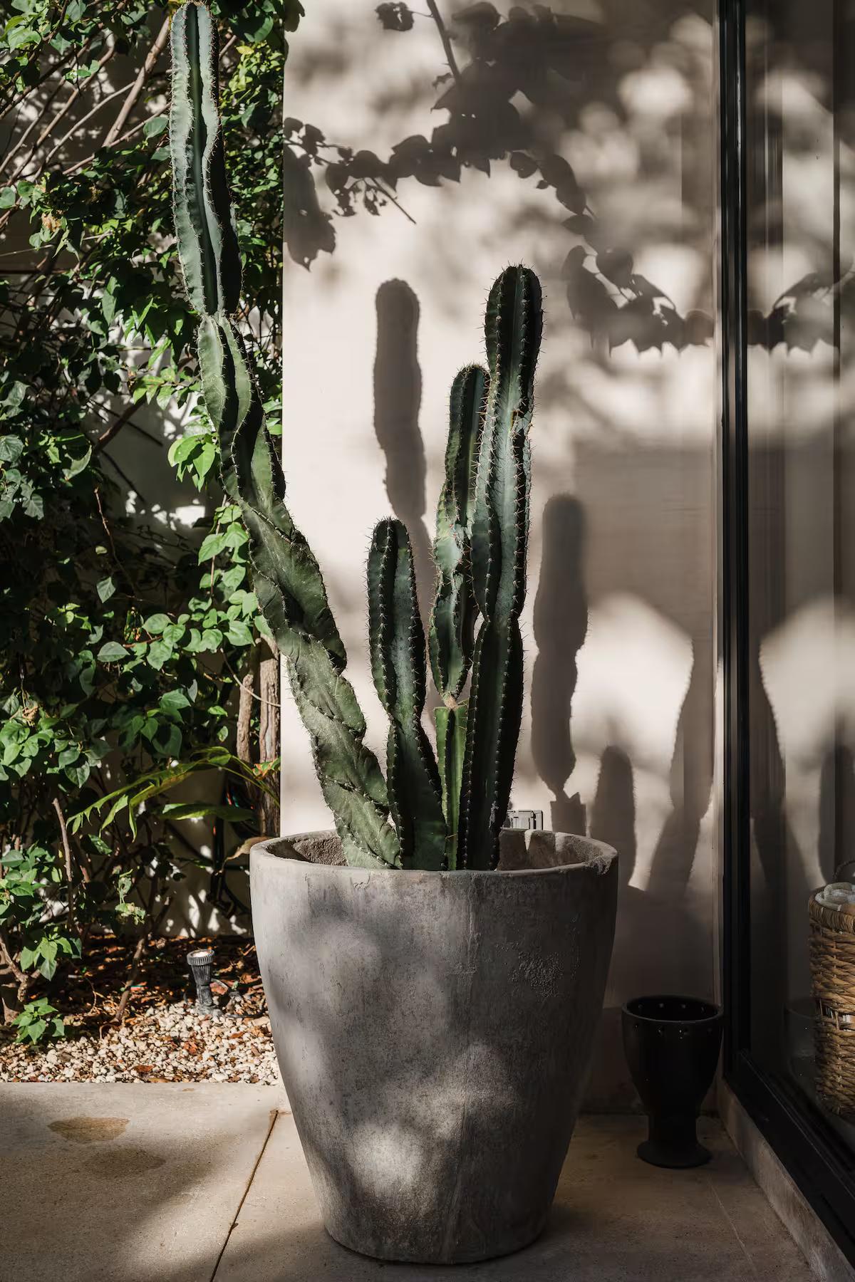 Villa Sorella | Bohemian 4 Bedroom — photo 15