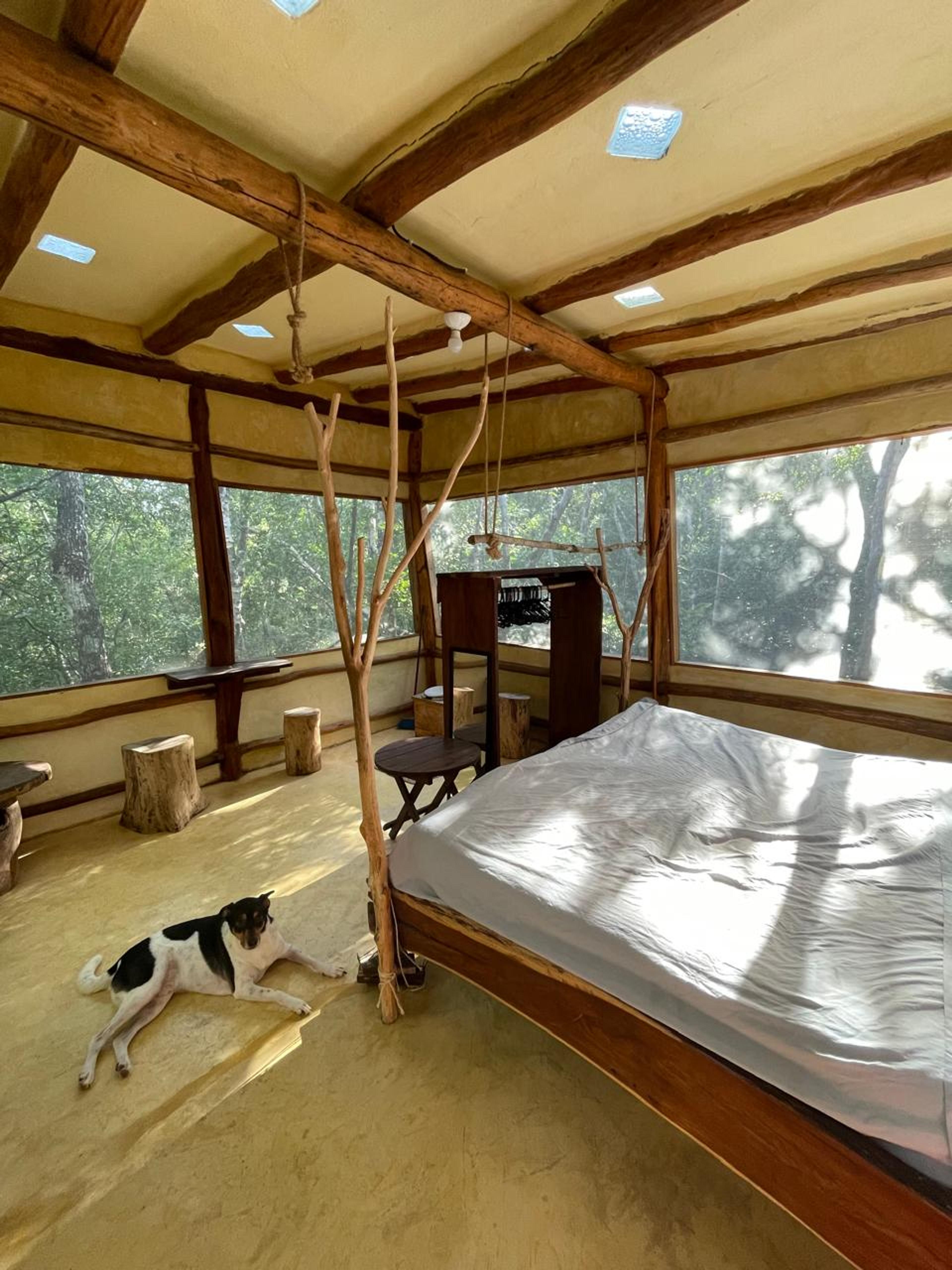 Tulum’s Hidden Gem: Expansive Eco-Investment with 4 Wooden Homes — photo 5