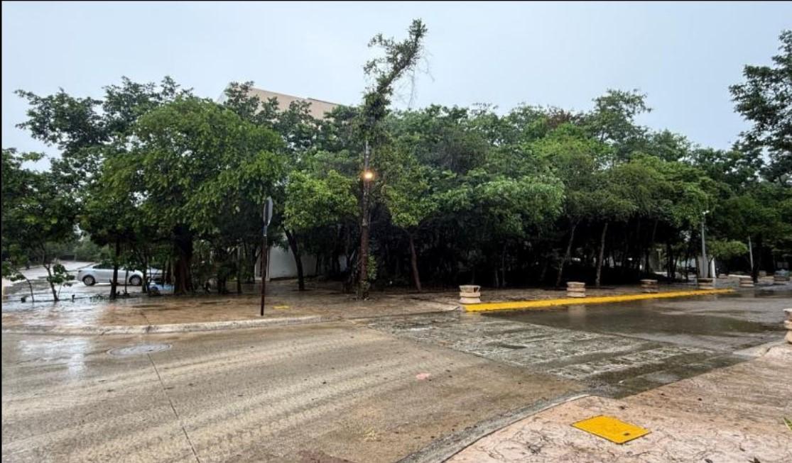 Lot in Aldea Zama – Premium Location in Tulum — photo 2