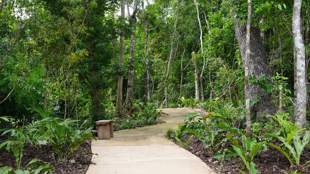 Amares Riviera Maya | Private Residential Lot for a Custom Home — photo 4