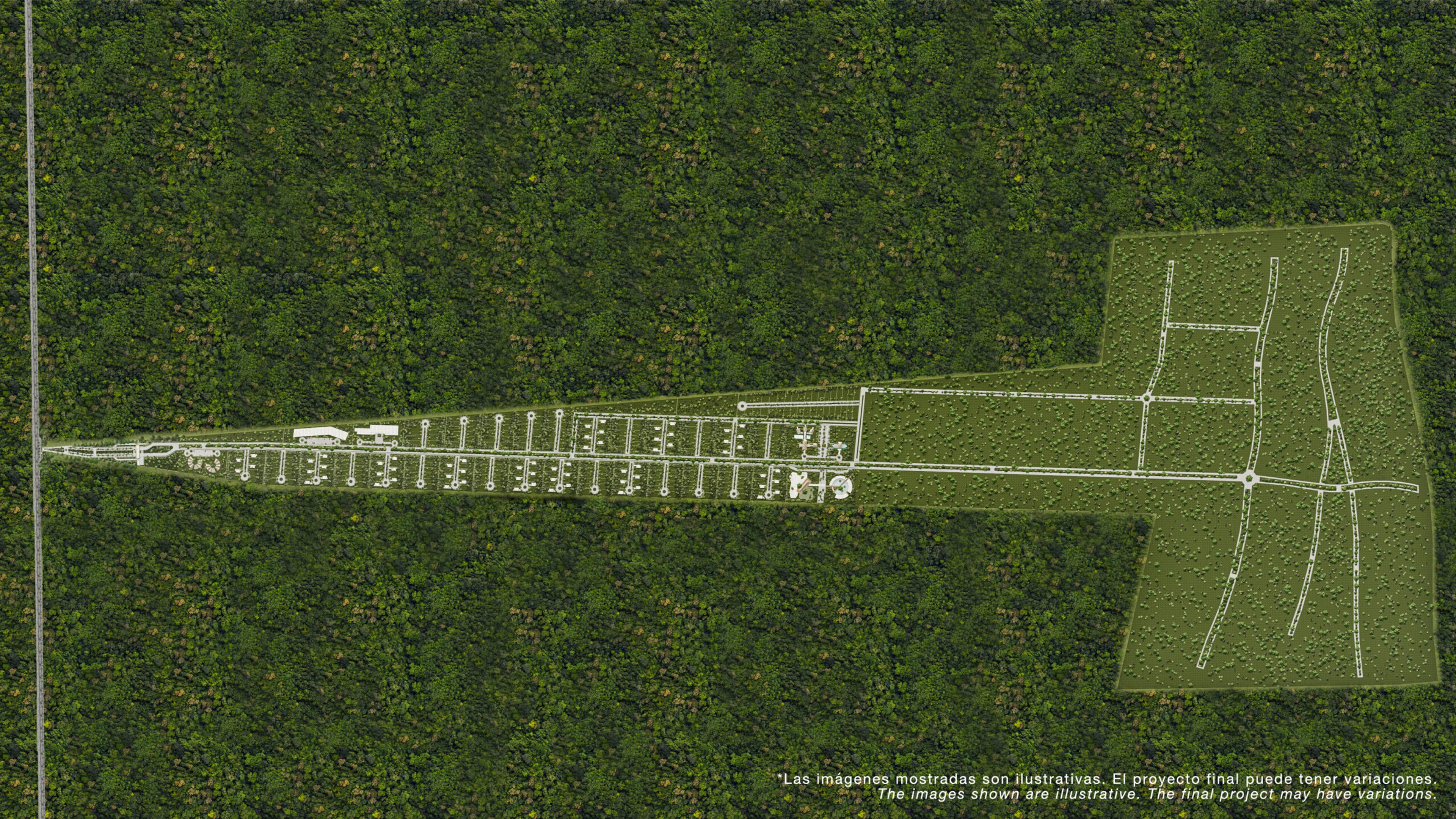 Exclusive Land for Sale in Puerto Aventuras — photo 7