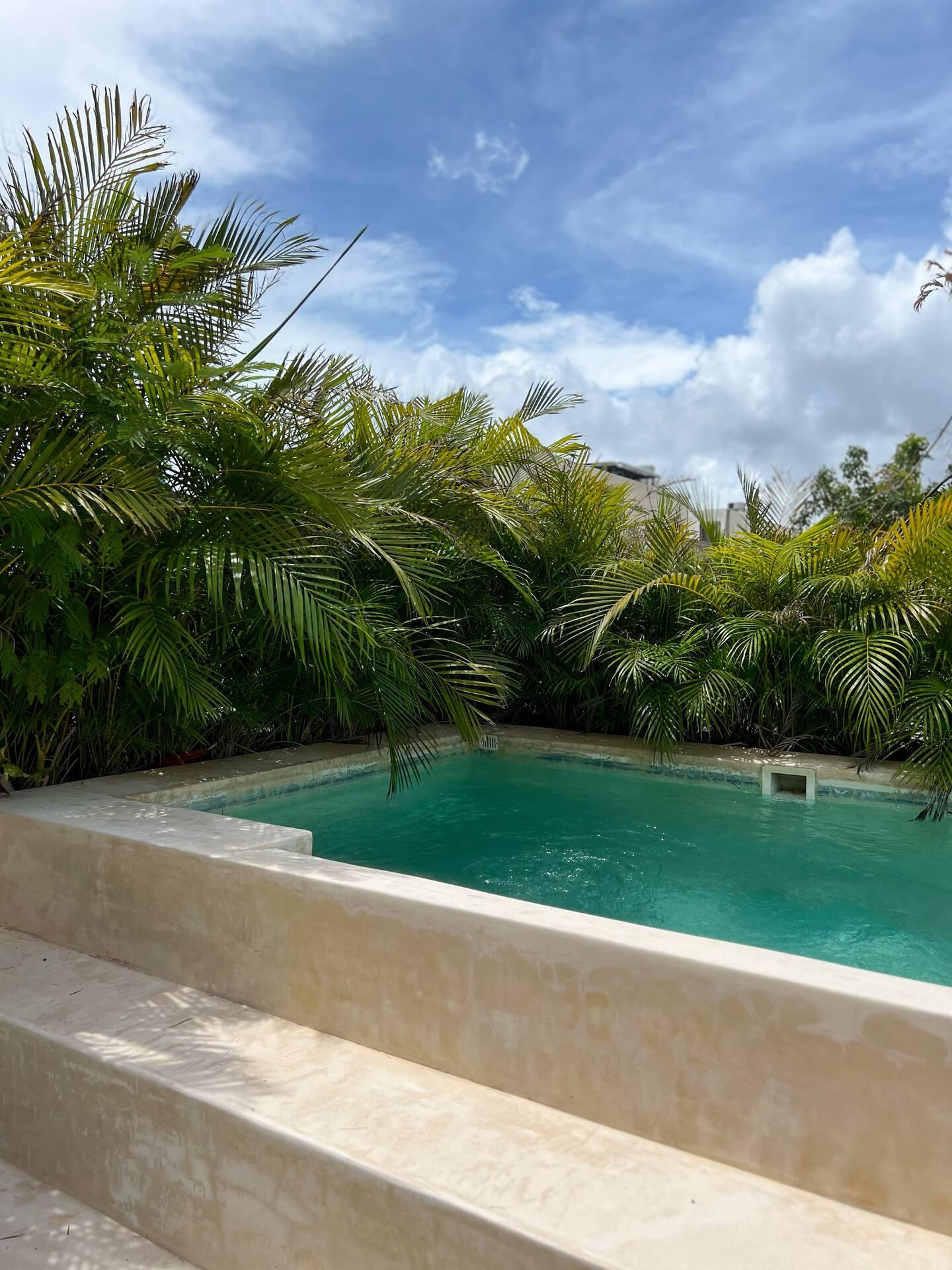 Zambo | Penthouse: Incredible 2-Level 3-Bed Lock-Off with Private Pool — photo 4