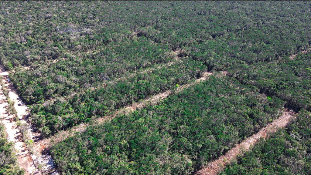 Amares Riviera Maya | Private Residential Lot for a Custom Home — photo 11