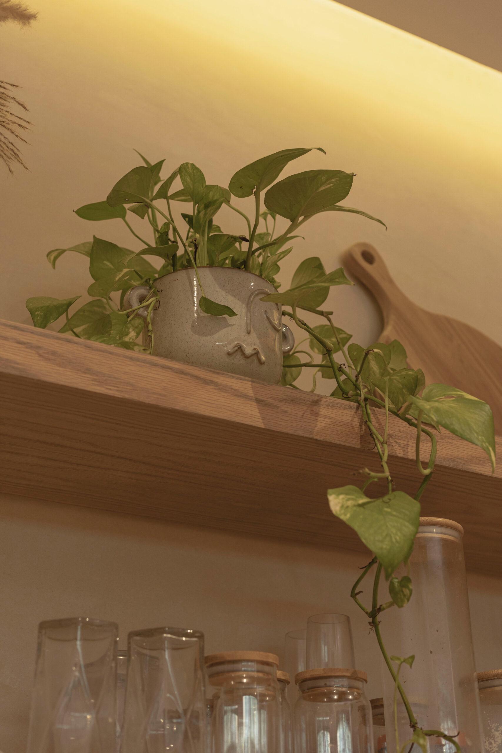 Xaana | Bohemian-Luxe Ground Floor Haven — photo 12