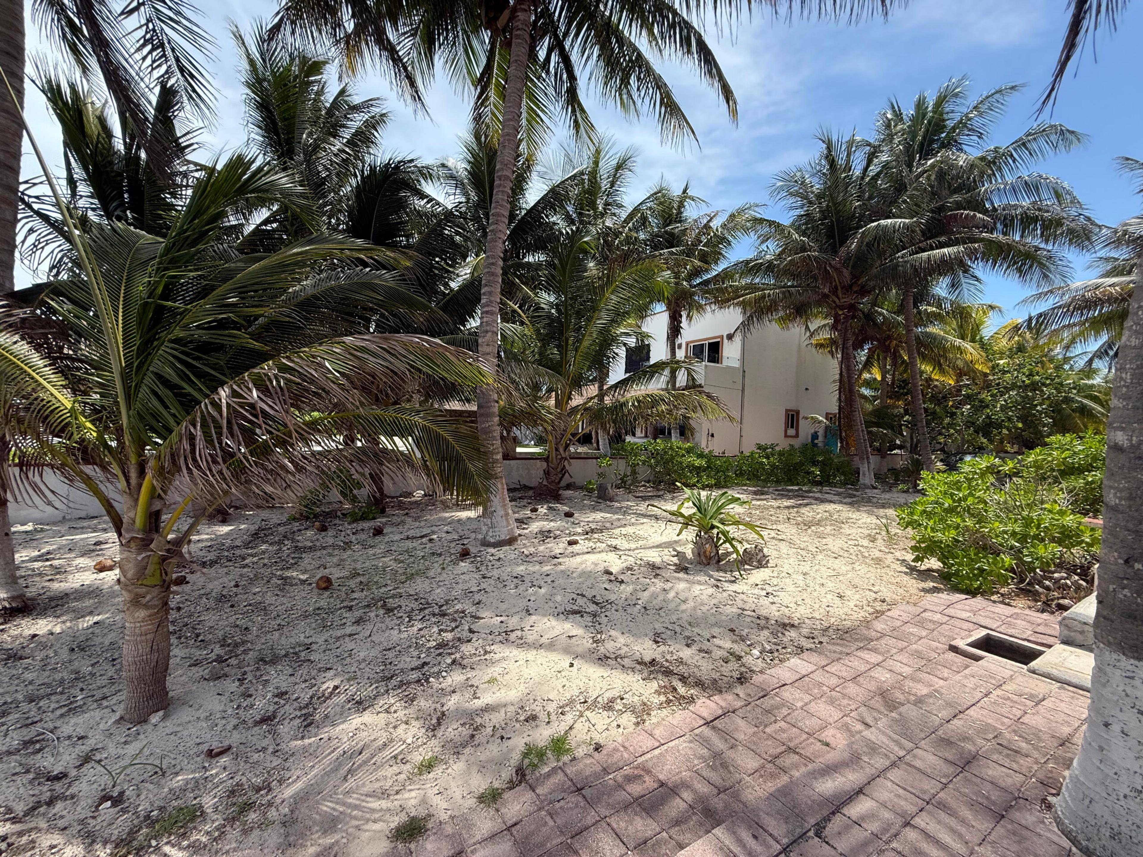 Prime Oceanfront Lot in Puerto Morelos — photo 4