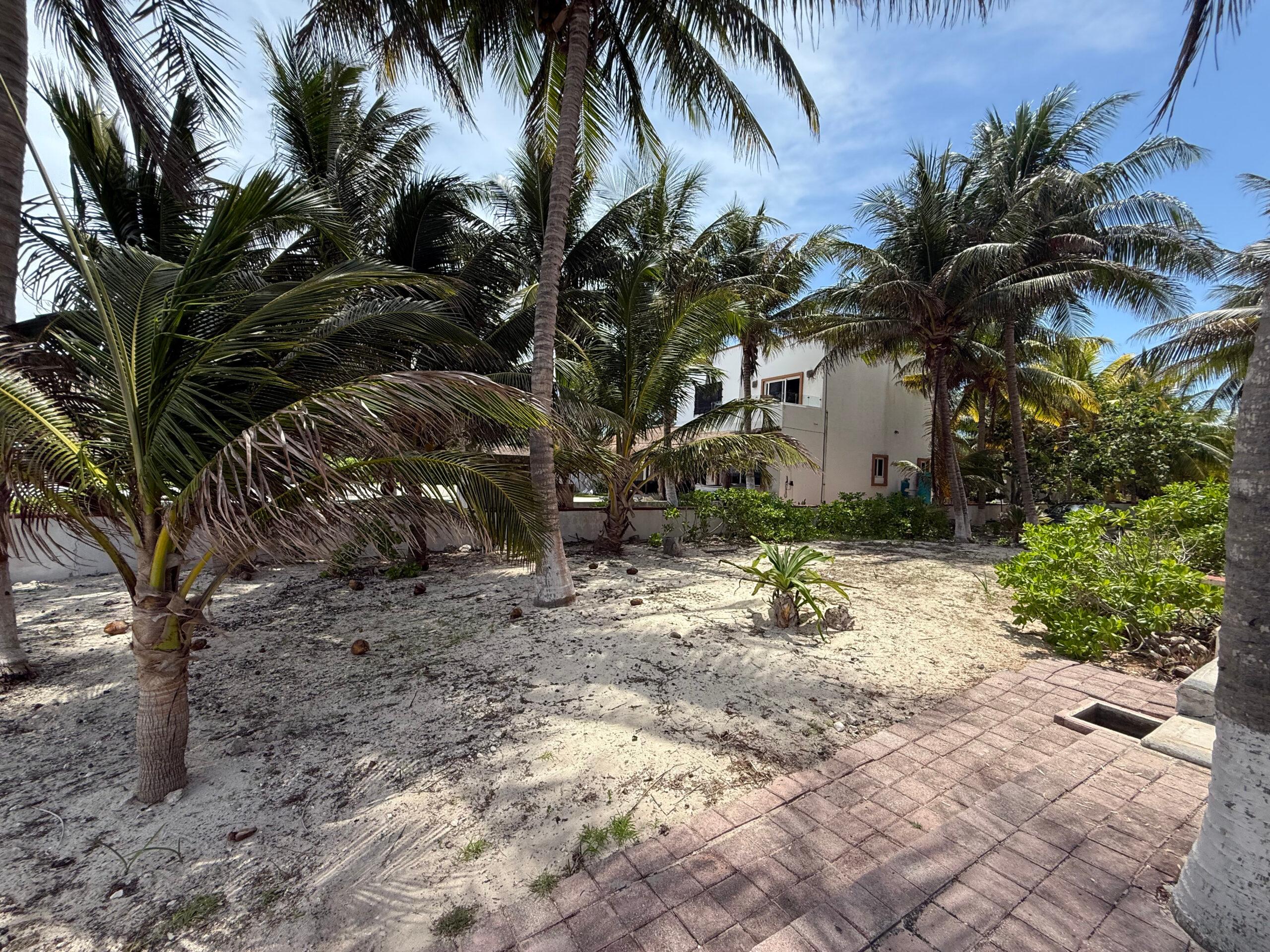 Prime Oceanfront Lot in Puerto Morelos — photo 4