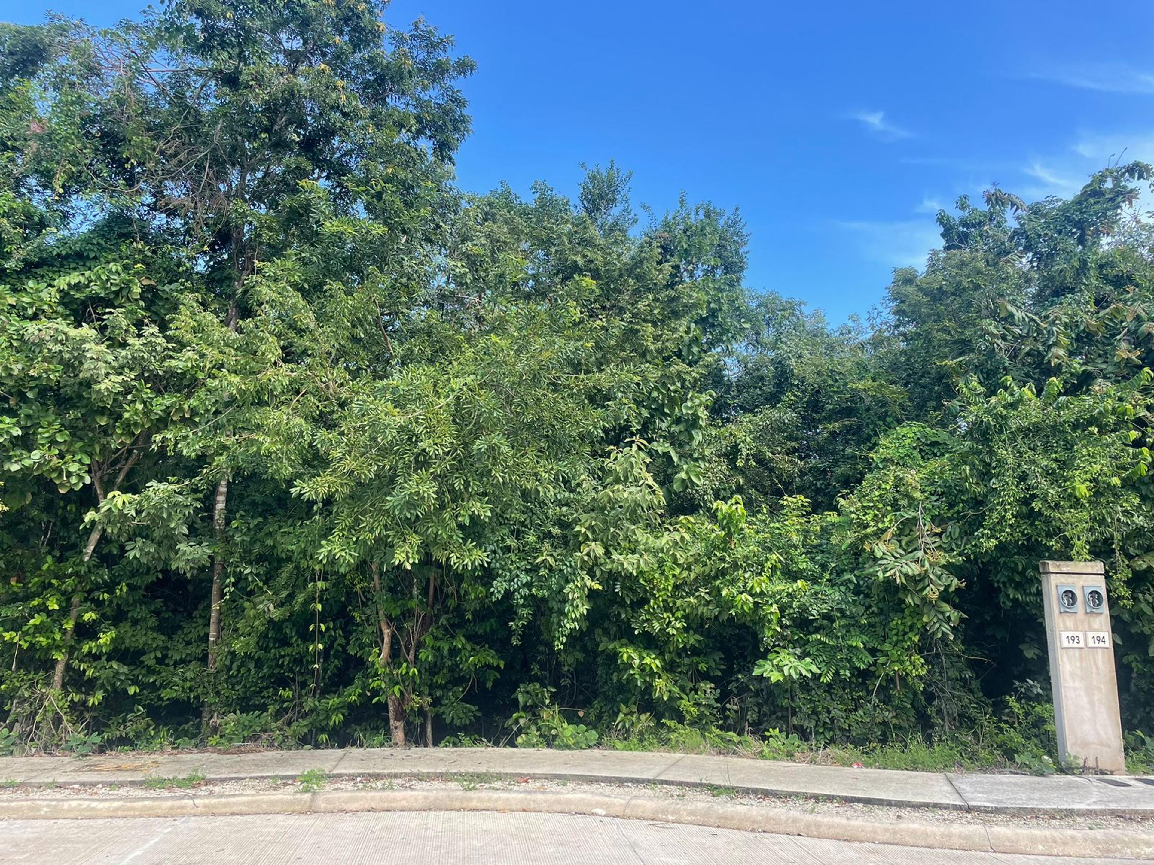 Land in Valenia Residential – Exclusive Opportunity in Playa del Carmen — photo 1