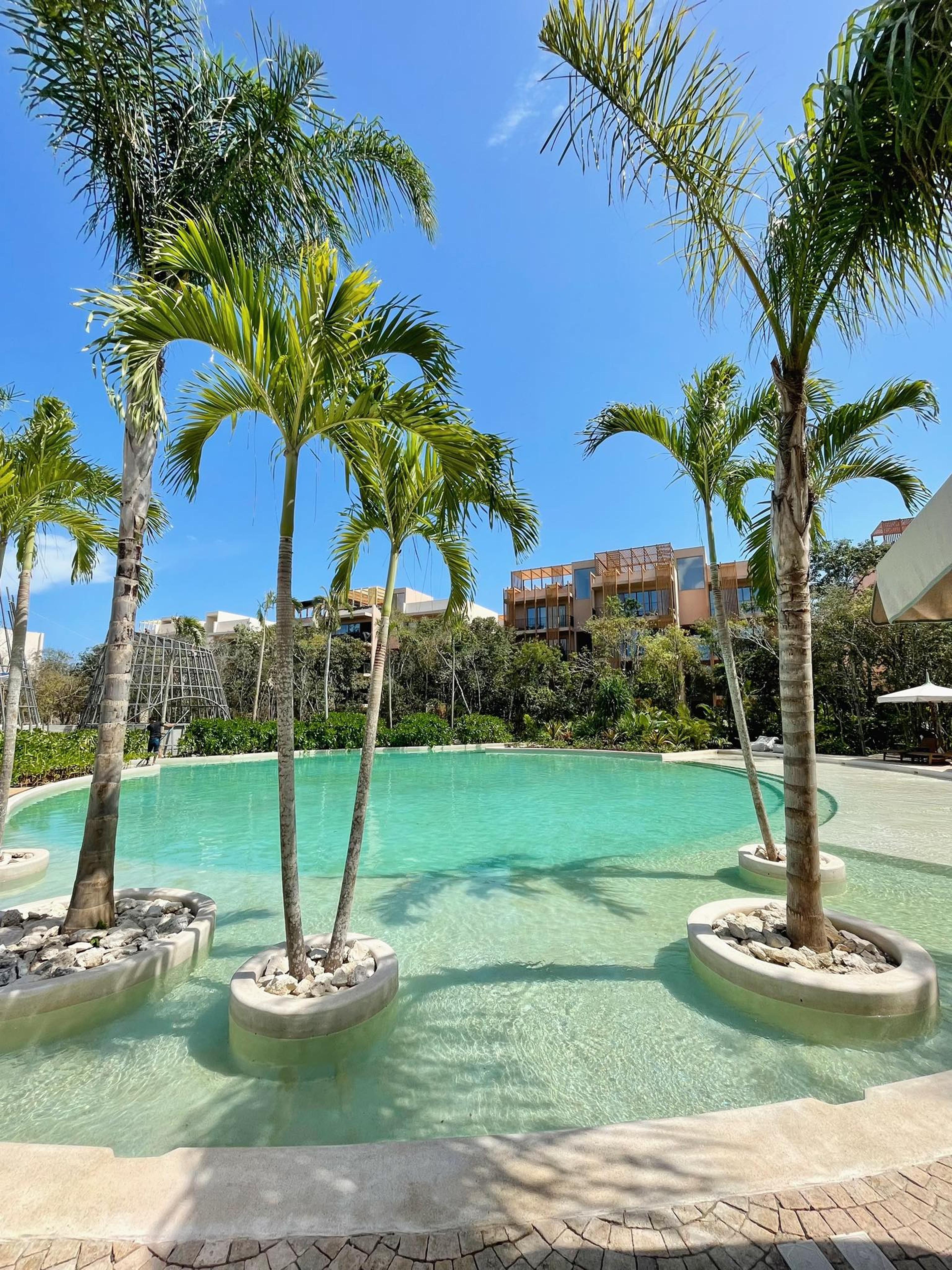 Aflora | Turn-Key Luxury Studio – Prime Investment in Tulum — photo 1