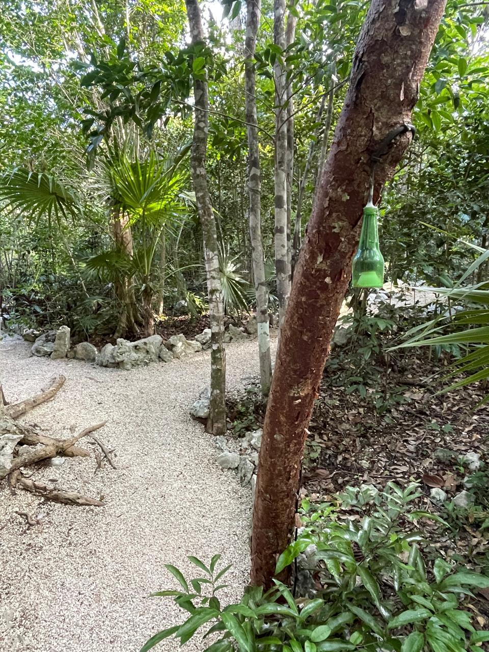 Tulum’s Hidden Gem: Expansive Eco-Investment with 4 Wooden Homes — photo 9