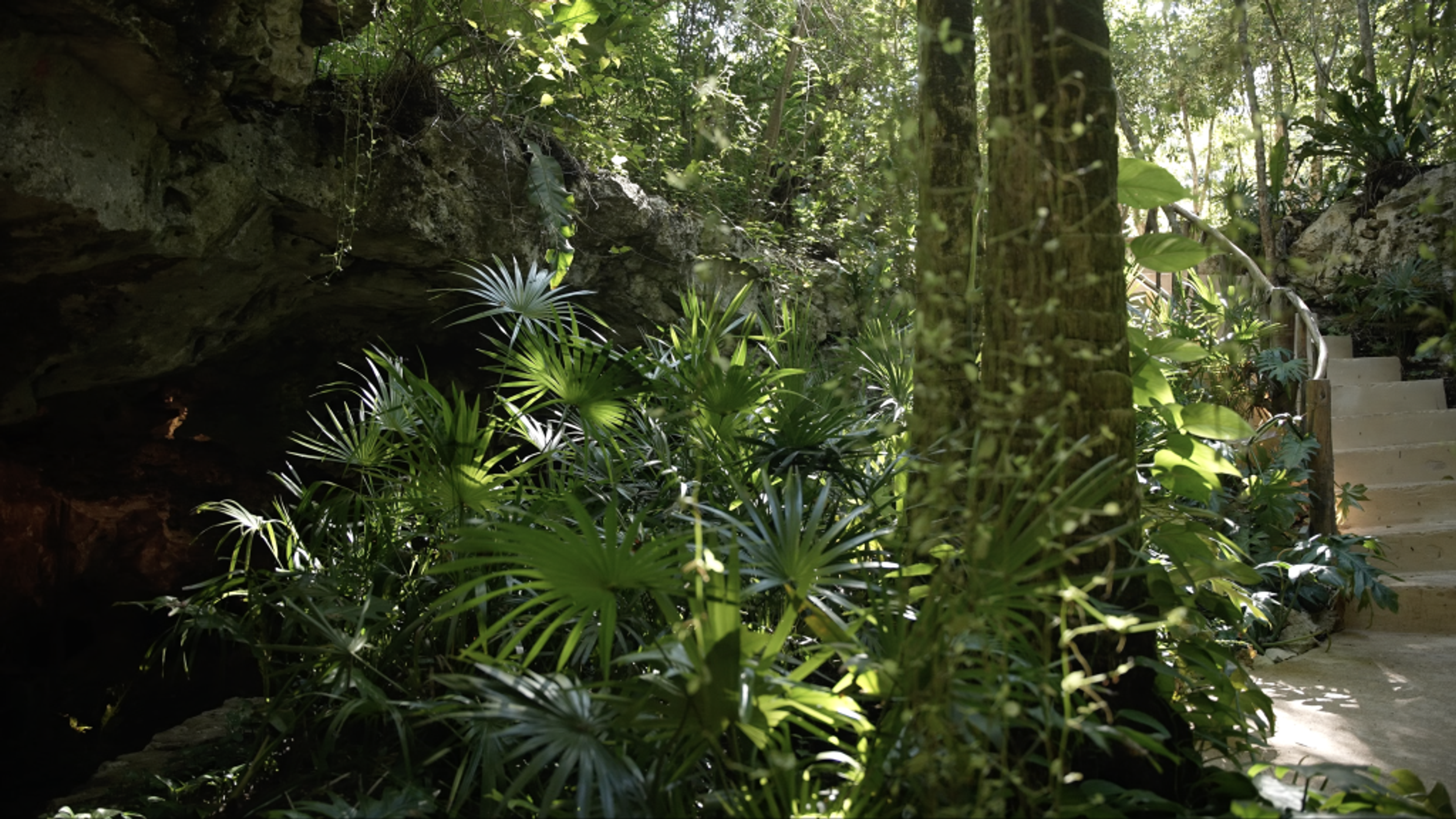 Amares Riviera Maya | Private Residential Lot for a Custom Home — photo 12