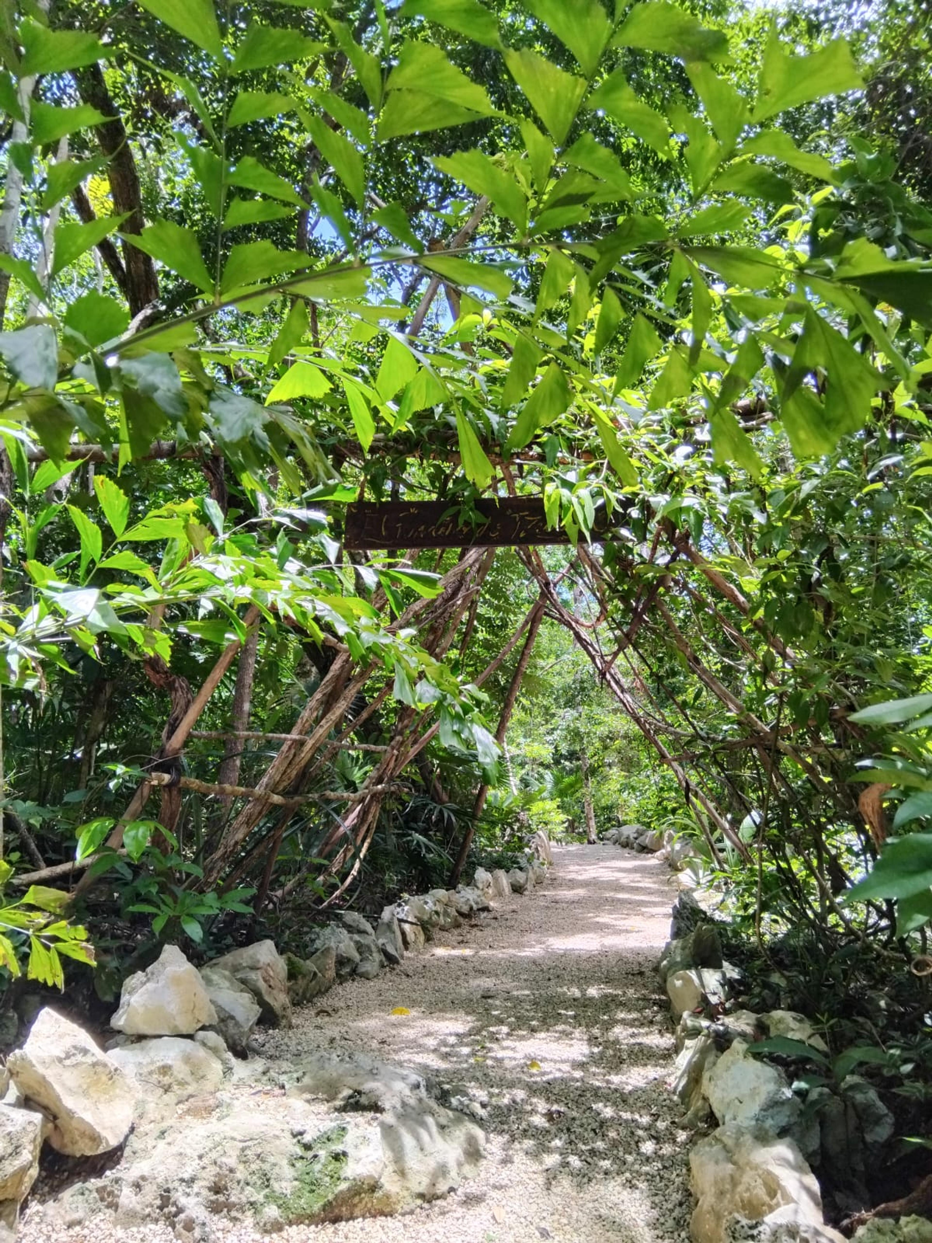 Tulum’s Hidden Gem: Expansive Eco-Investment with 4 Wooden Homes — photo 3