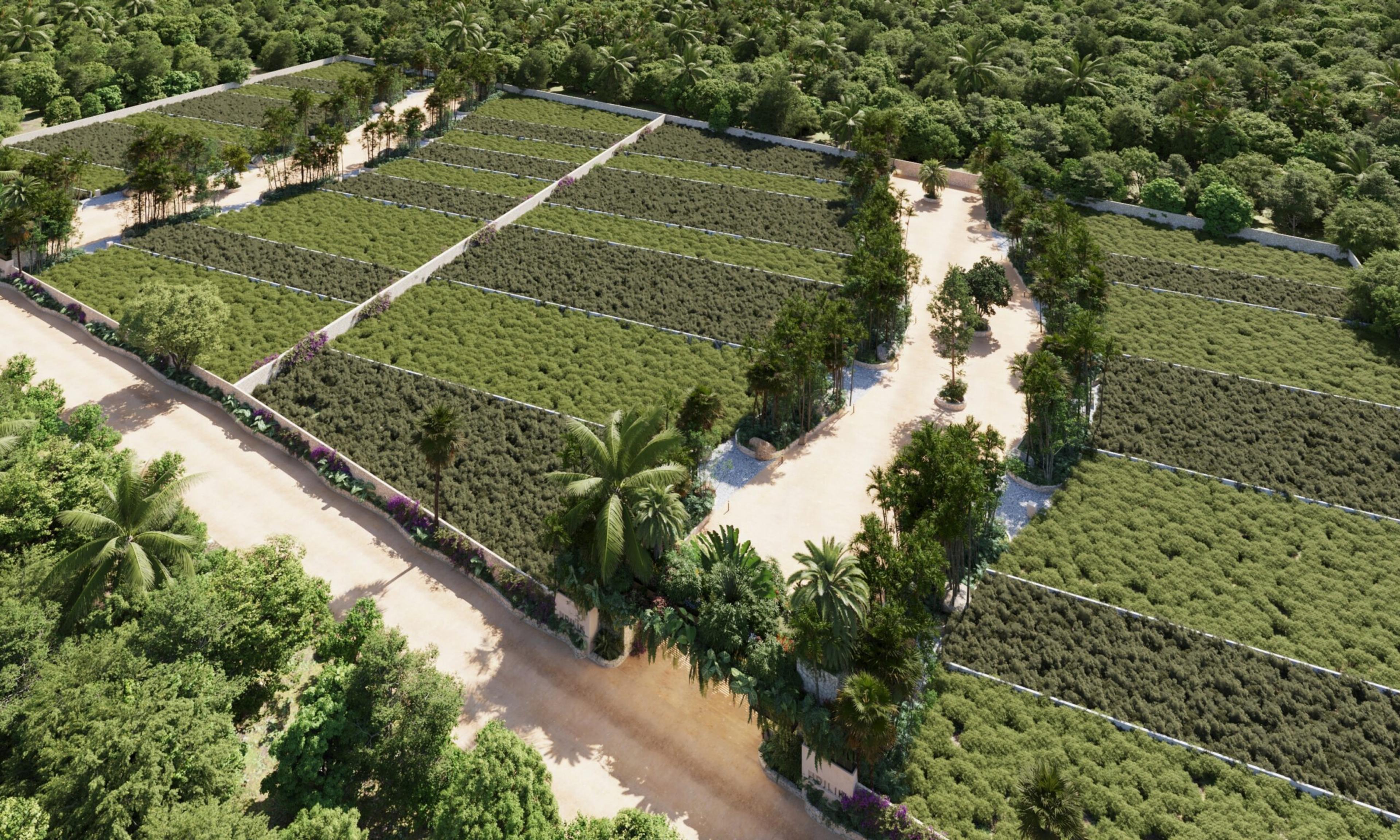 Premium Residential Lots 1km from the Beach — photo 10