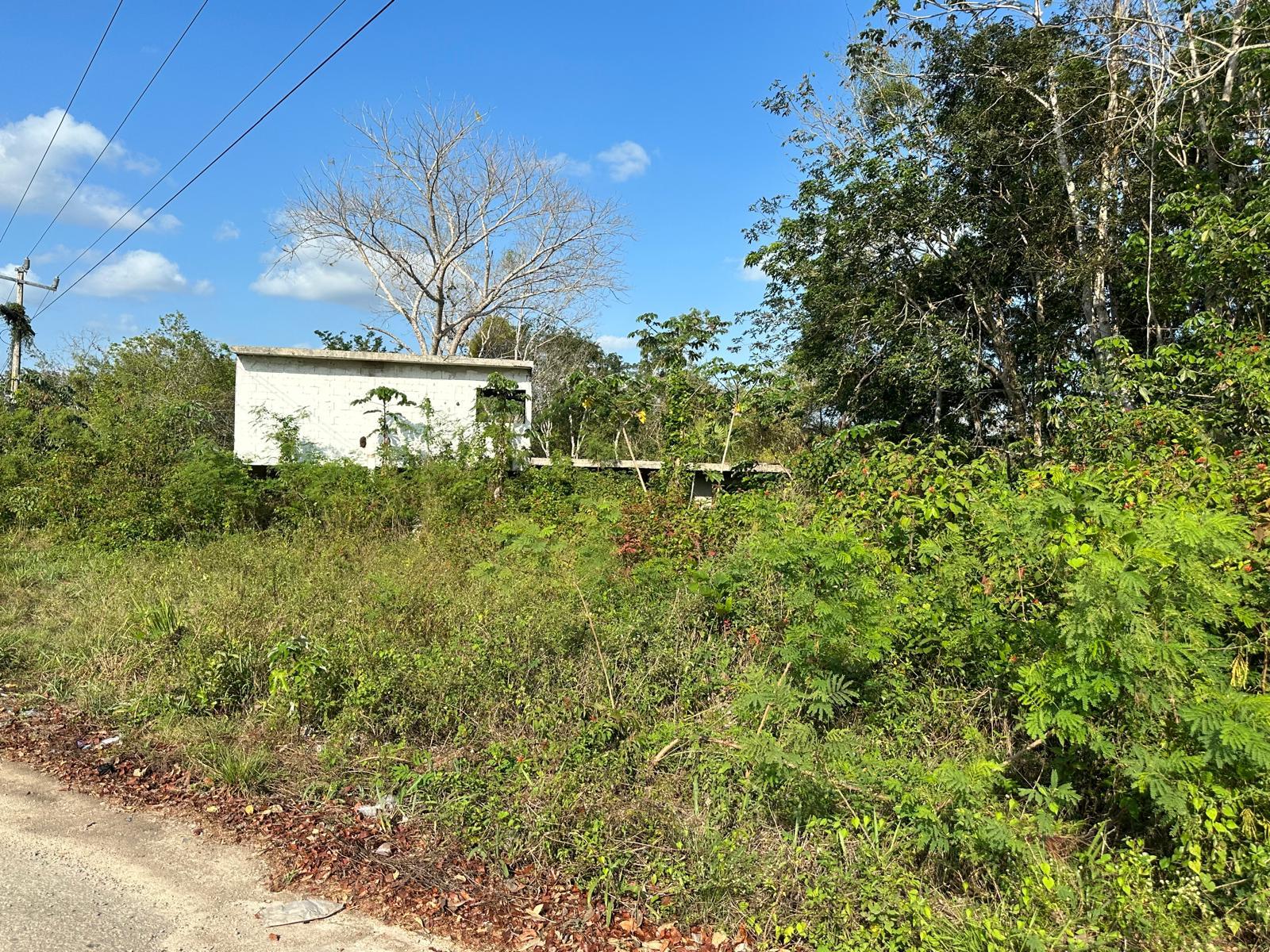 Prime Corner Lot for Sale Near Bacalar Lagoon — photo 2