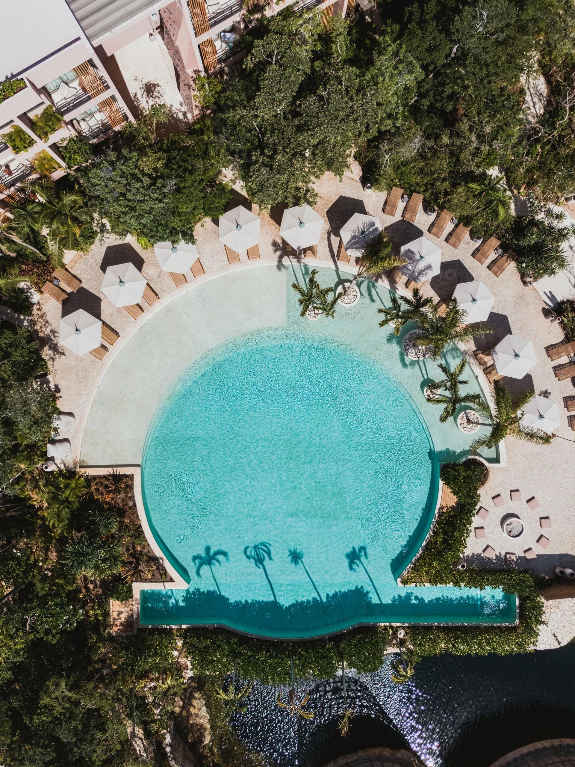 Aflora | One Bed Retreat in The Most Successful Complex in Tulum — photo 6