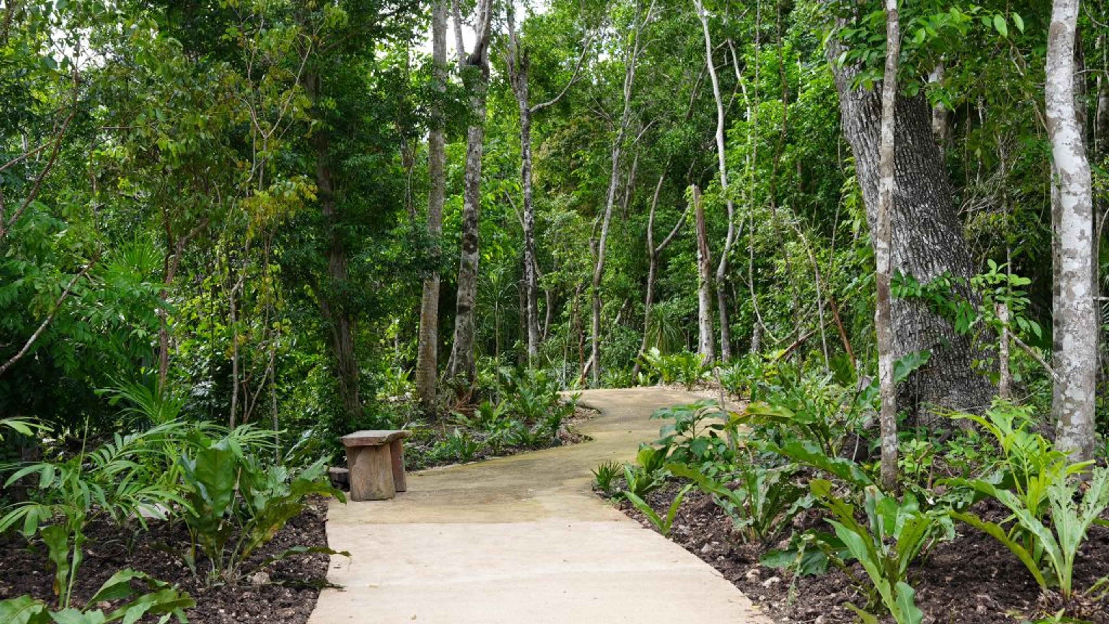 Amares Riviera Maya | Exclusive Private Homesite — photo 2