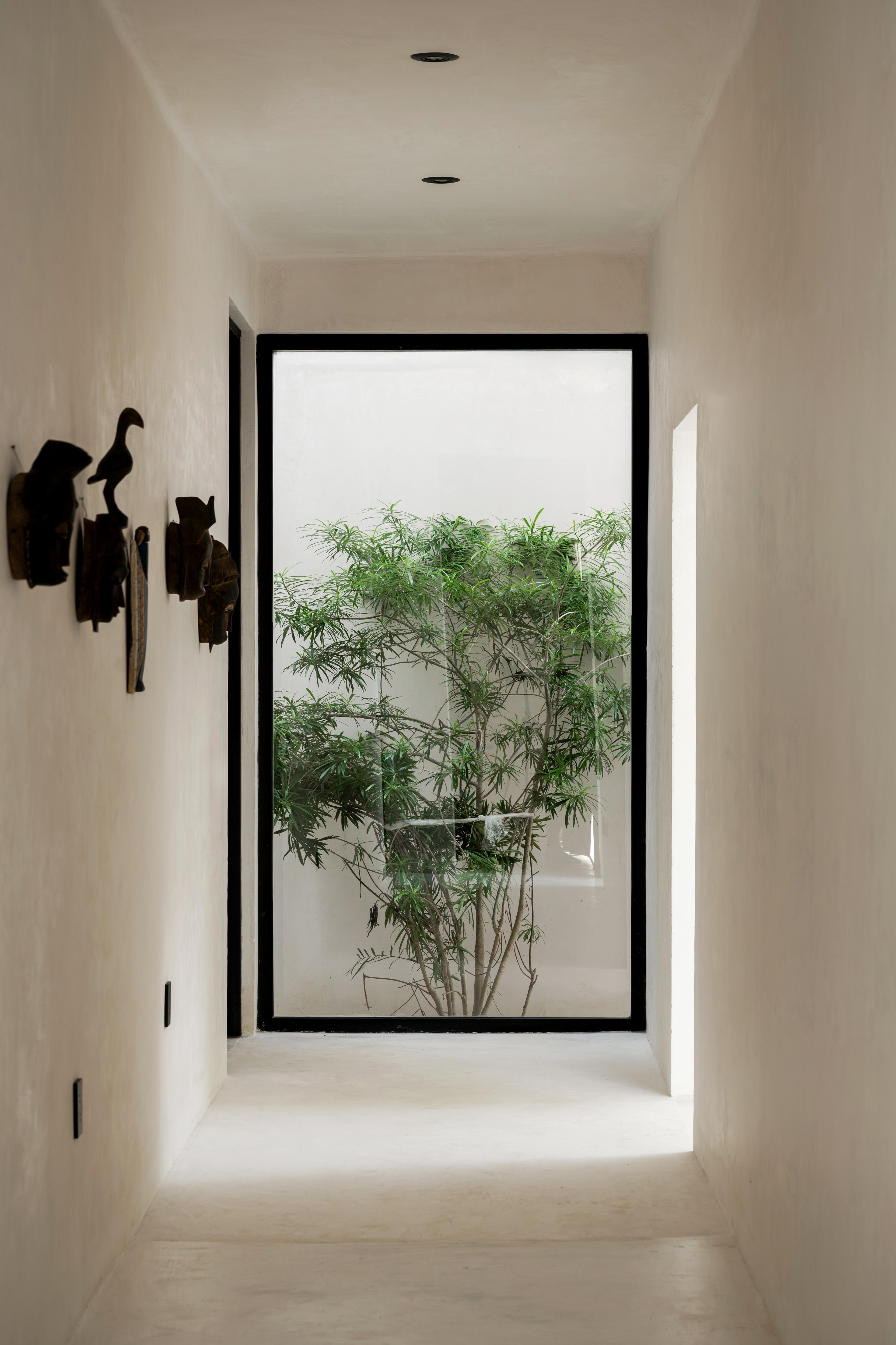 Villa Coco — photo 12
