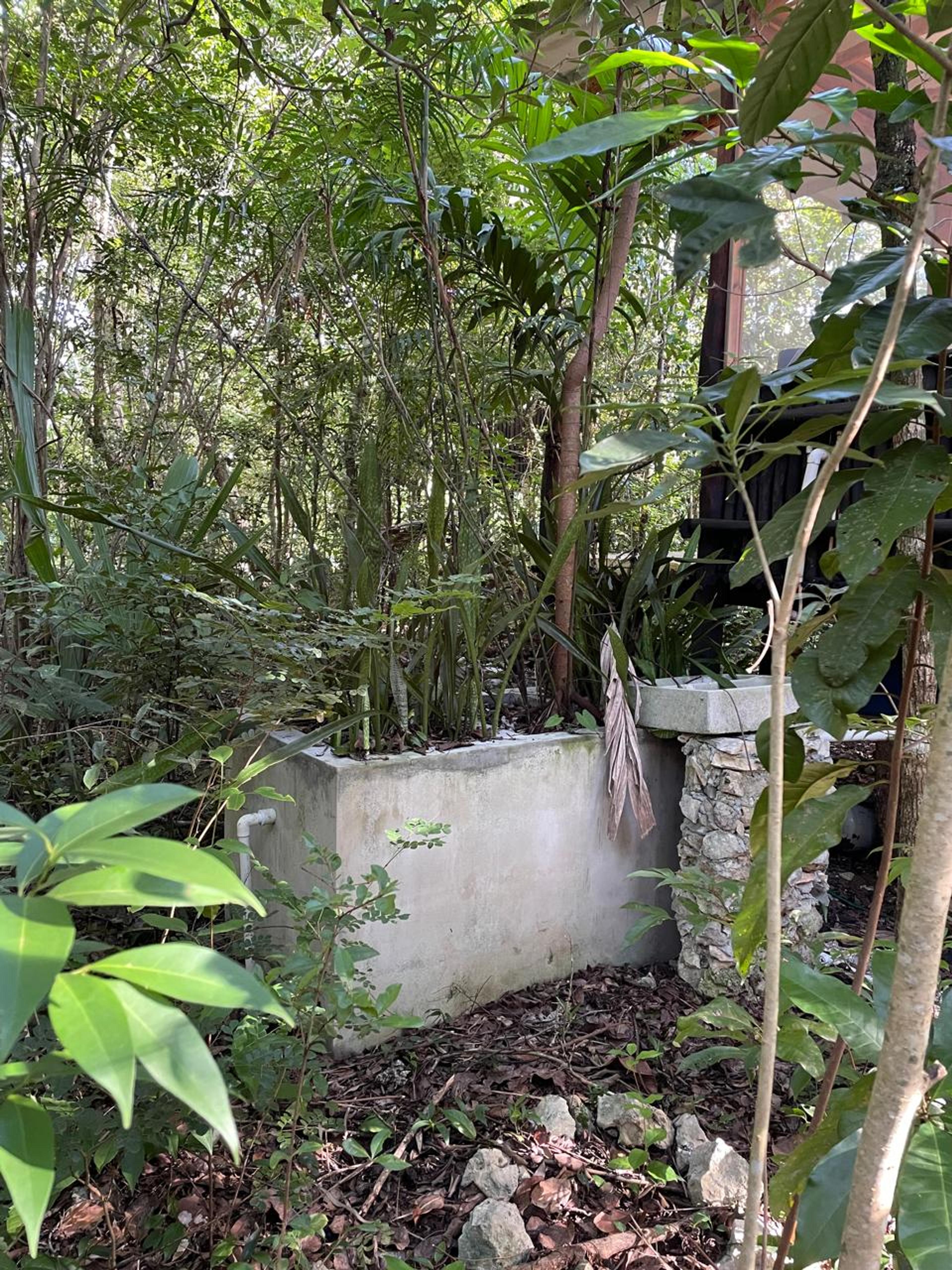 Tulum’s Hidden Gem: Expansive Eco-Investment with 4 Wooden Homes — photo 7