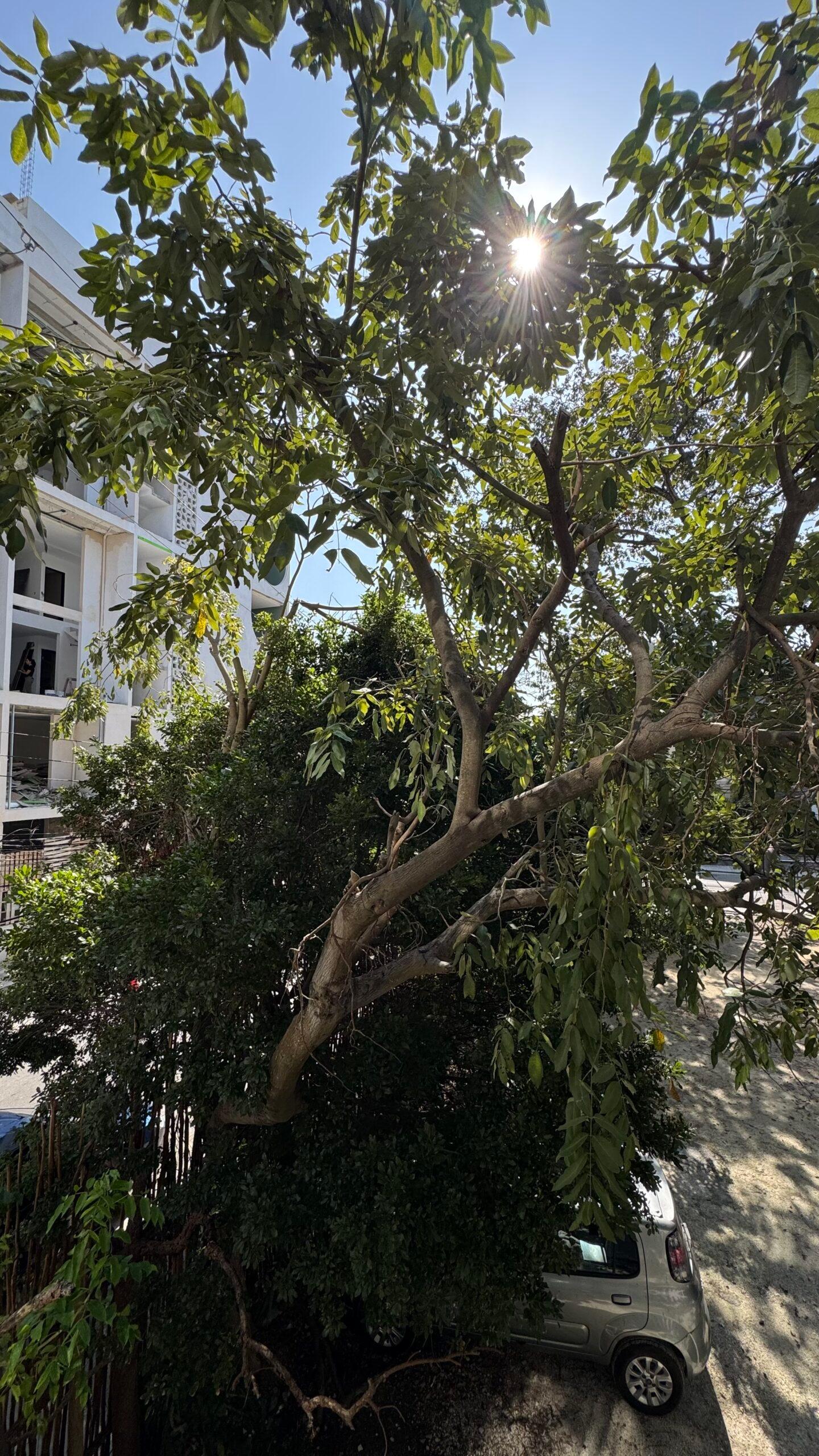 Sofia | Modern Fully Furnished Studio In Playa del Carmen — photo 27