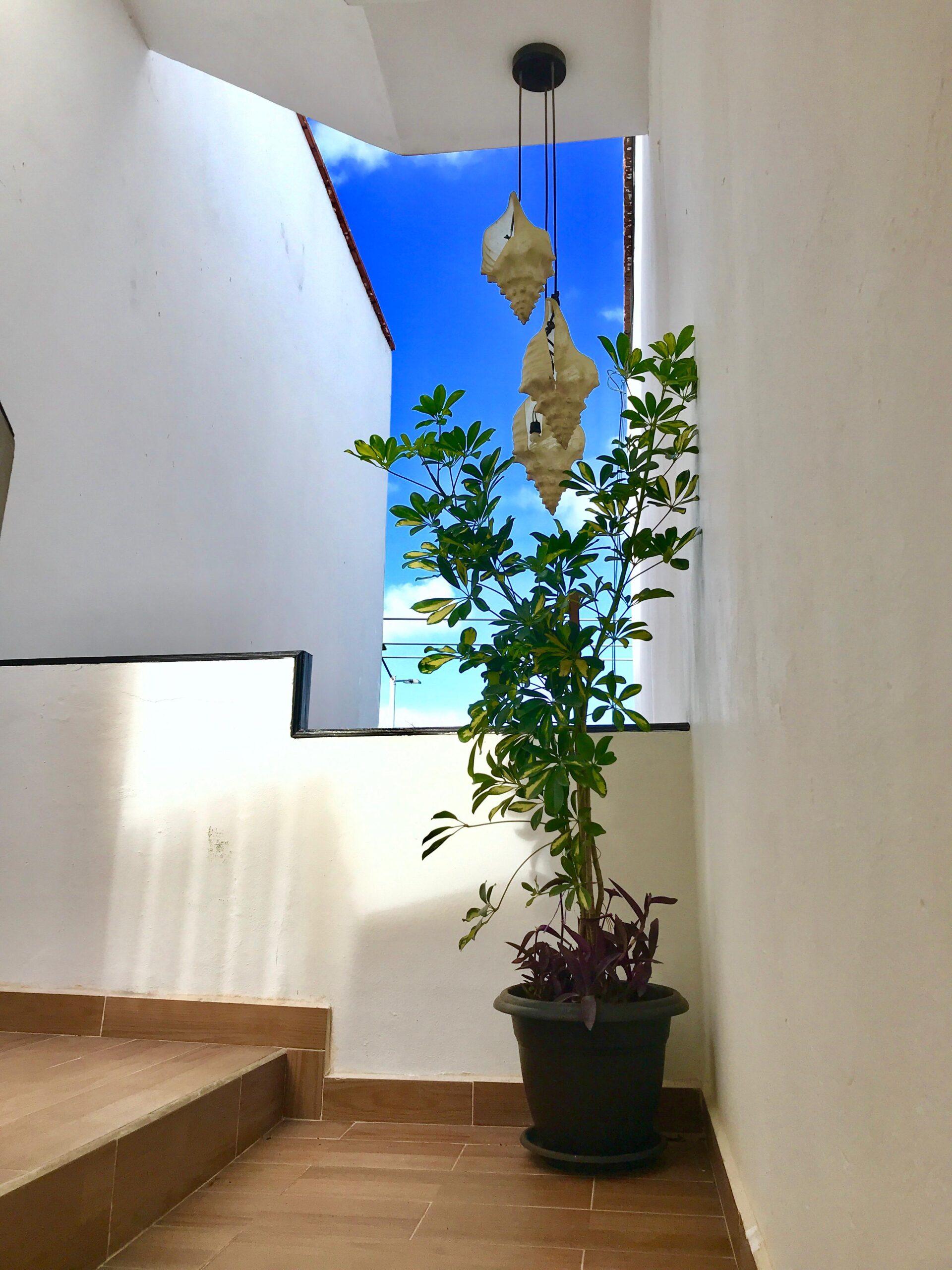 Multifamily Building with Commercial Space in Colosio — photo 8